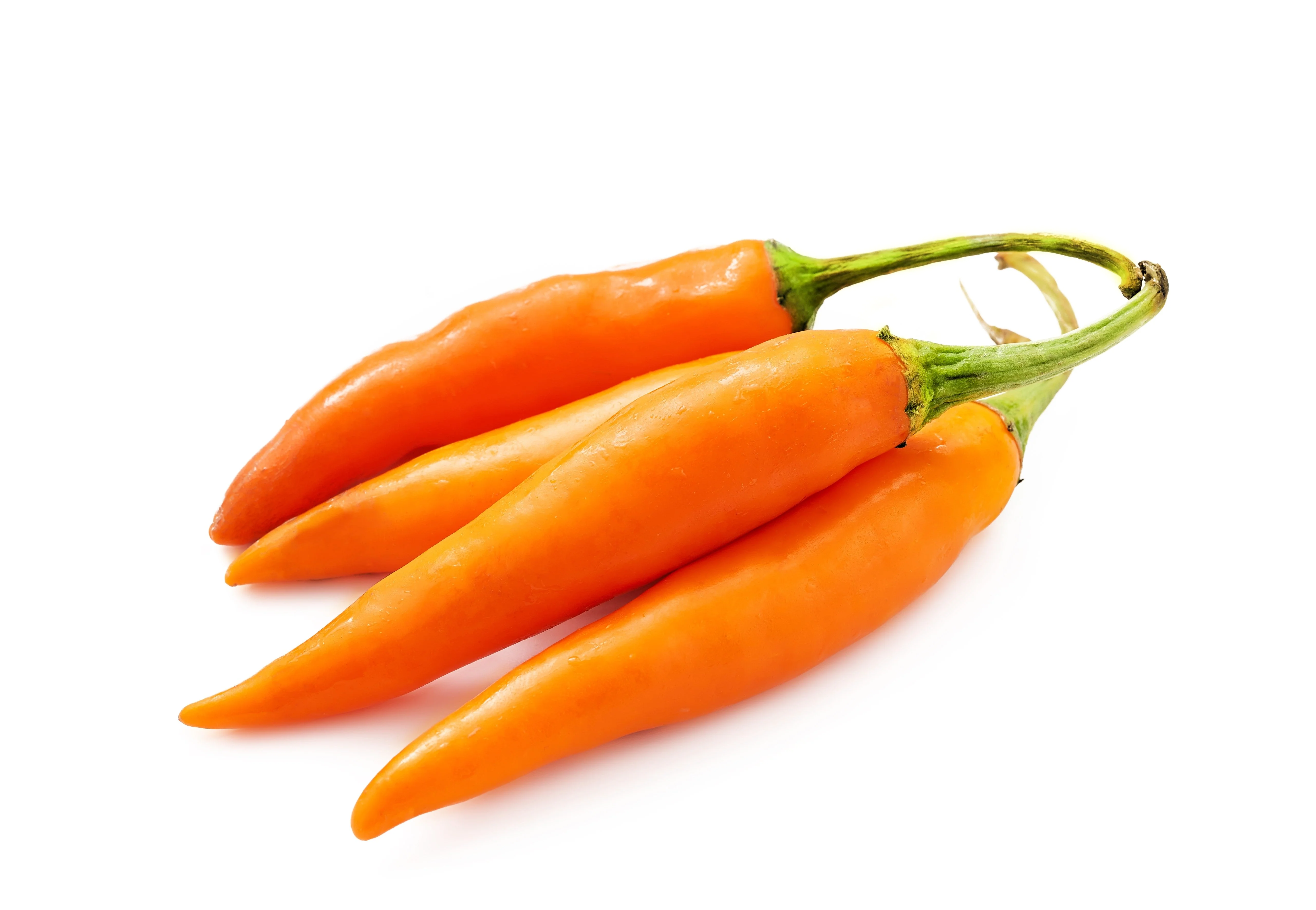 100 MIXED CAYENNE PEPPER Hot Yellow Purple Orange Red Green Capsicum Vegetable Seeds - Image 11
