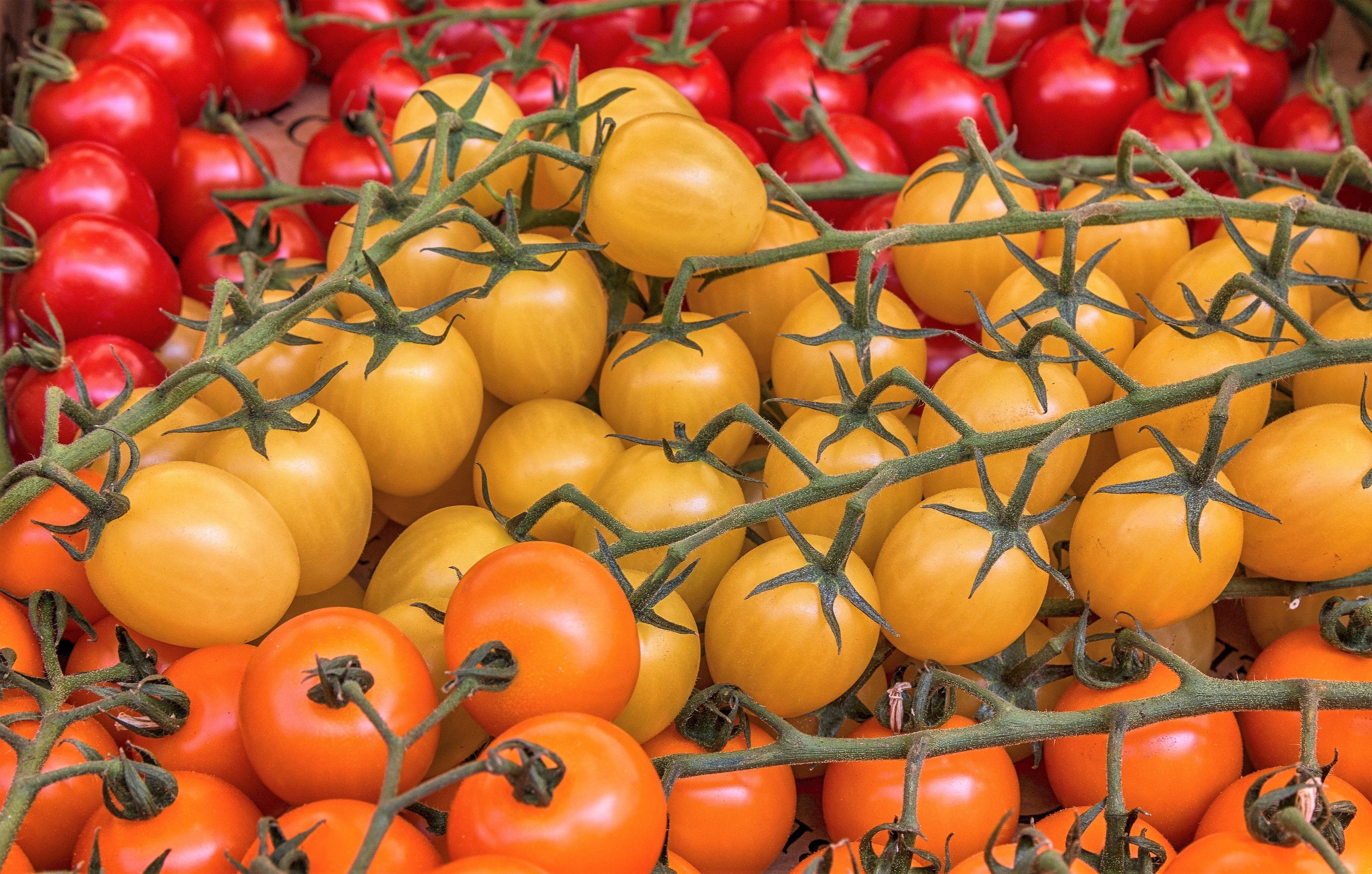 100 ORANGE CHERRY TOMATO Heirloom Solanum Lycopersicum Indeterminate Fruit Vegetable Seeds - Image 5