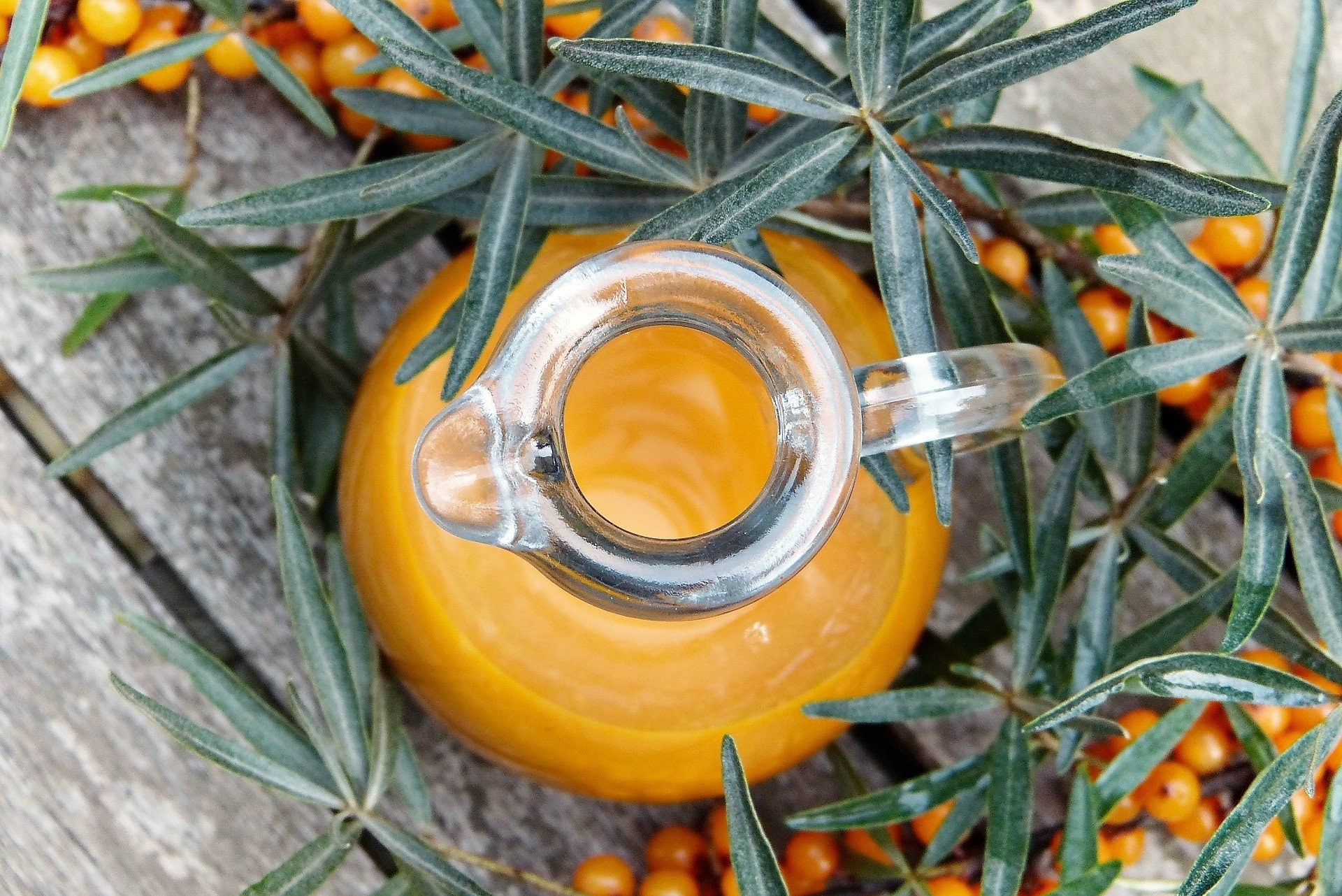 100 SEABERRY Sea Buckthorn Elaeagnus Hippophae Rhamnoides Orange Berry Fruit Shrub Yellow Flower Silver Foliage Seeds - Image 9