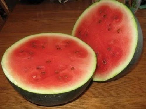 100 SUGAR BABY WATERMELON Citrullus lanatus Fruit Melon Seeds - Image 4