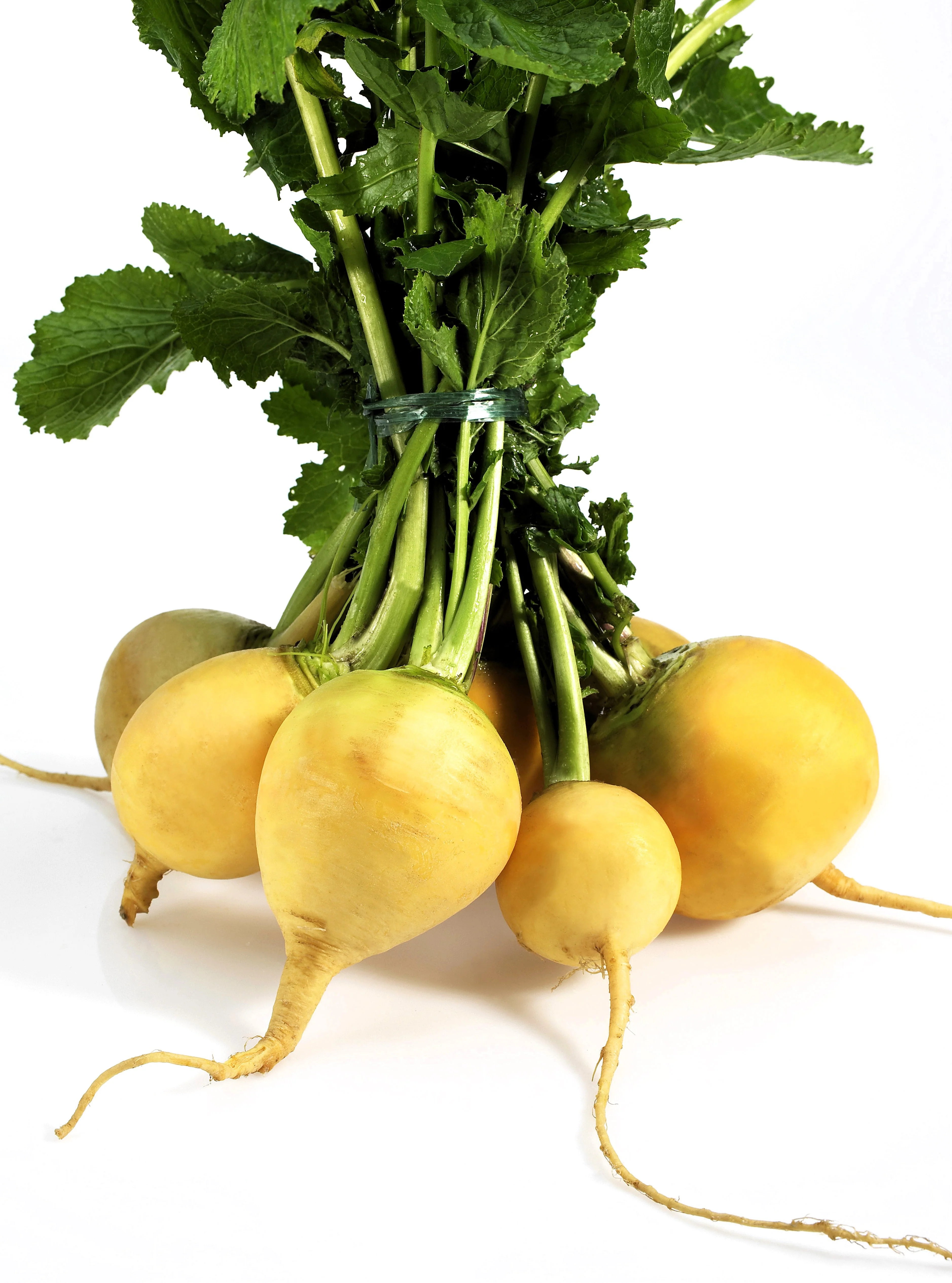 1000 GOLDEN BALL TURNIP Heirloom Yellow Brassica Rapa Root Vegetable Seeds - Image 11