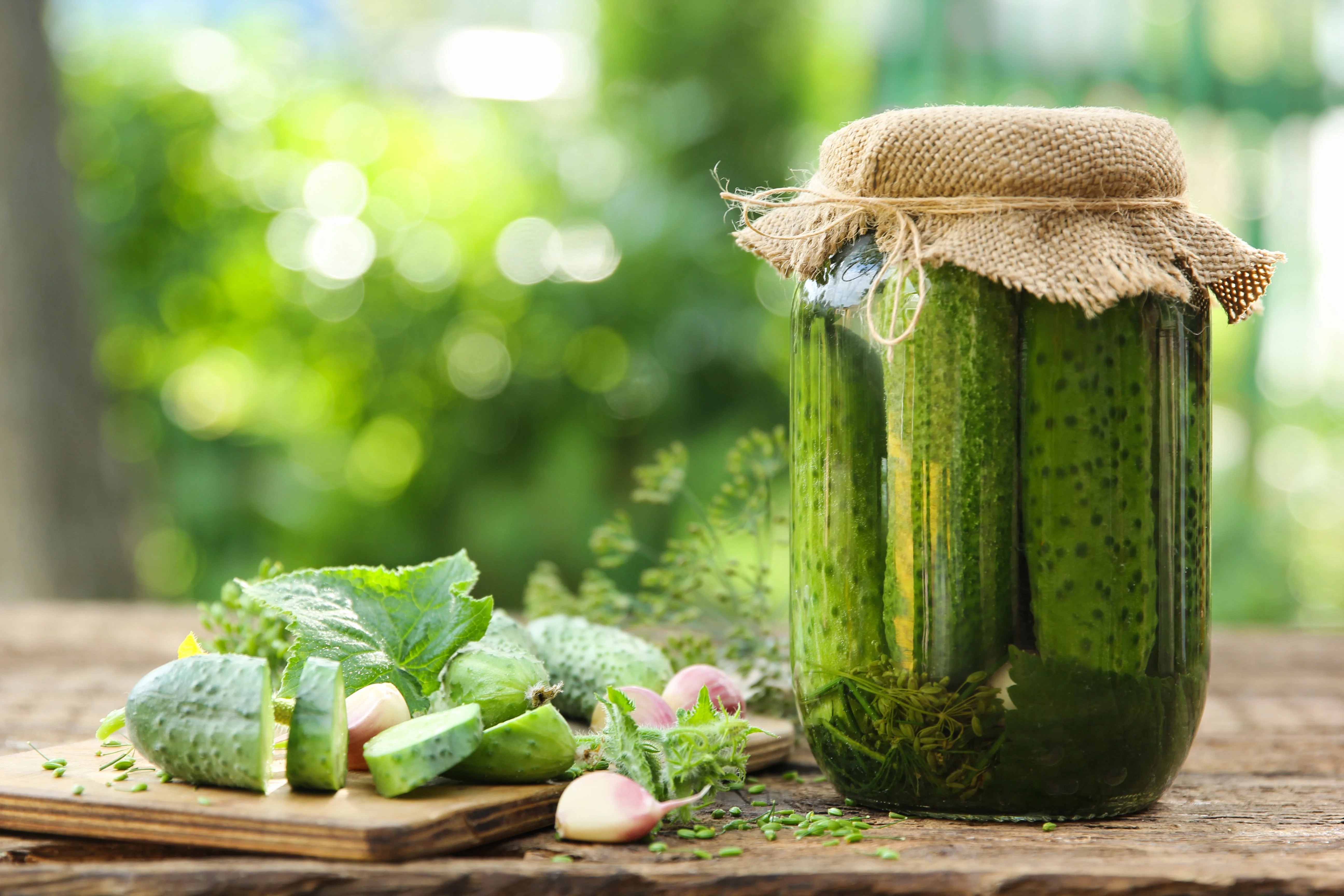 150 BOSTON PICKLING CUCUMBER Heirloom Cucumis Sativus Fruit Vegetable Seeds - Image 3