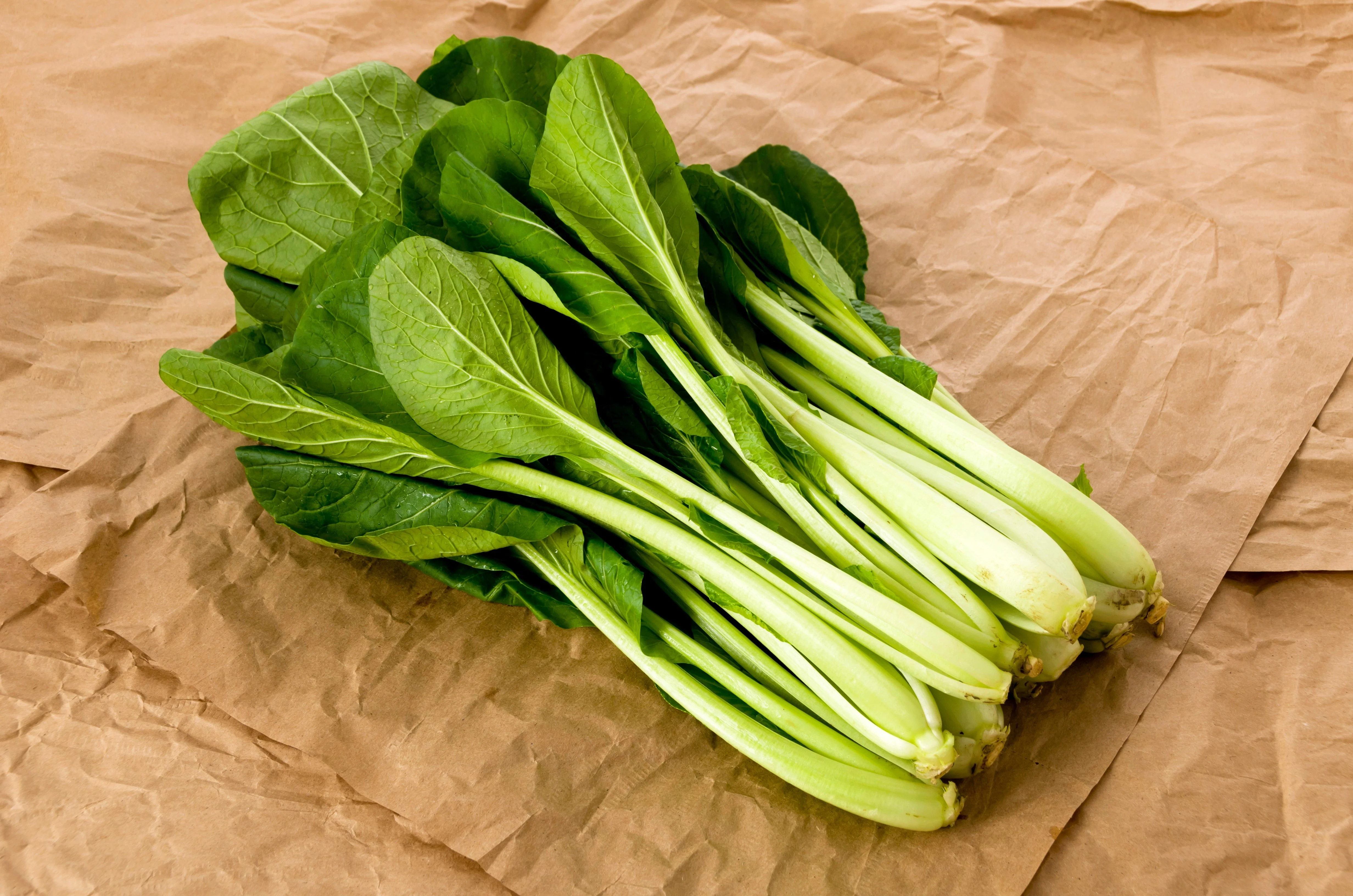 1500 SPINACH MUSTARD TENDERGREEN Komatsuna Greens Brassica Rapa Vegetable Seeds - Image 2