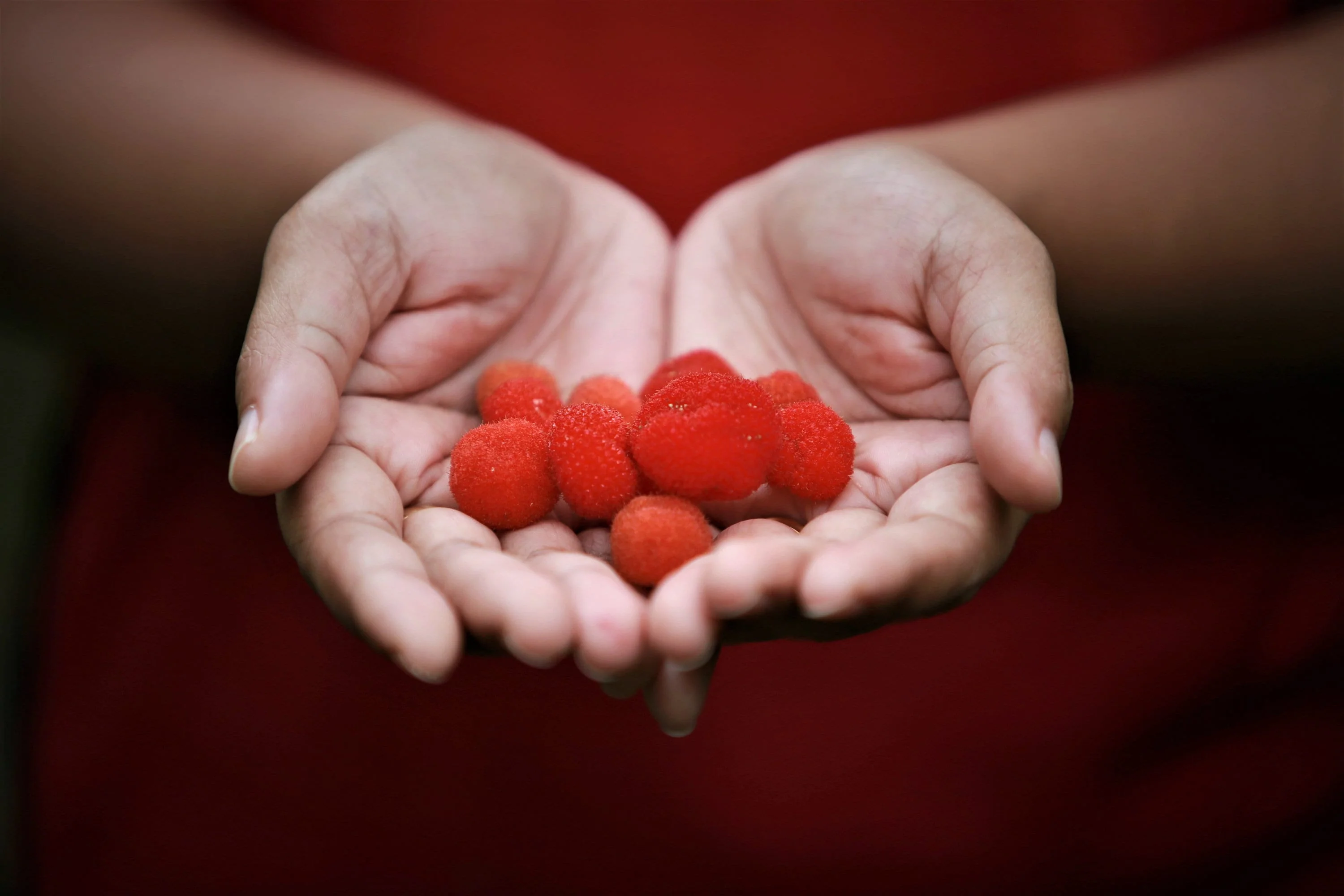 20 AUSTRALIAN RASPBERRY aka Queensland & Atherton Raspberry Rubus Probus Red Berry Fruit Shrub Seeds - Image 5
