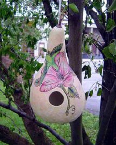20 BIRDHOUSE GOURD (Hard Shelled Gourd / Calabash) Lagenaria Siceraria Vine Seeds - Image 4