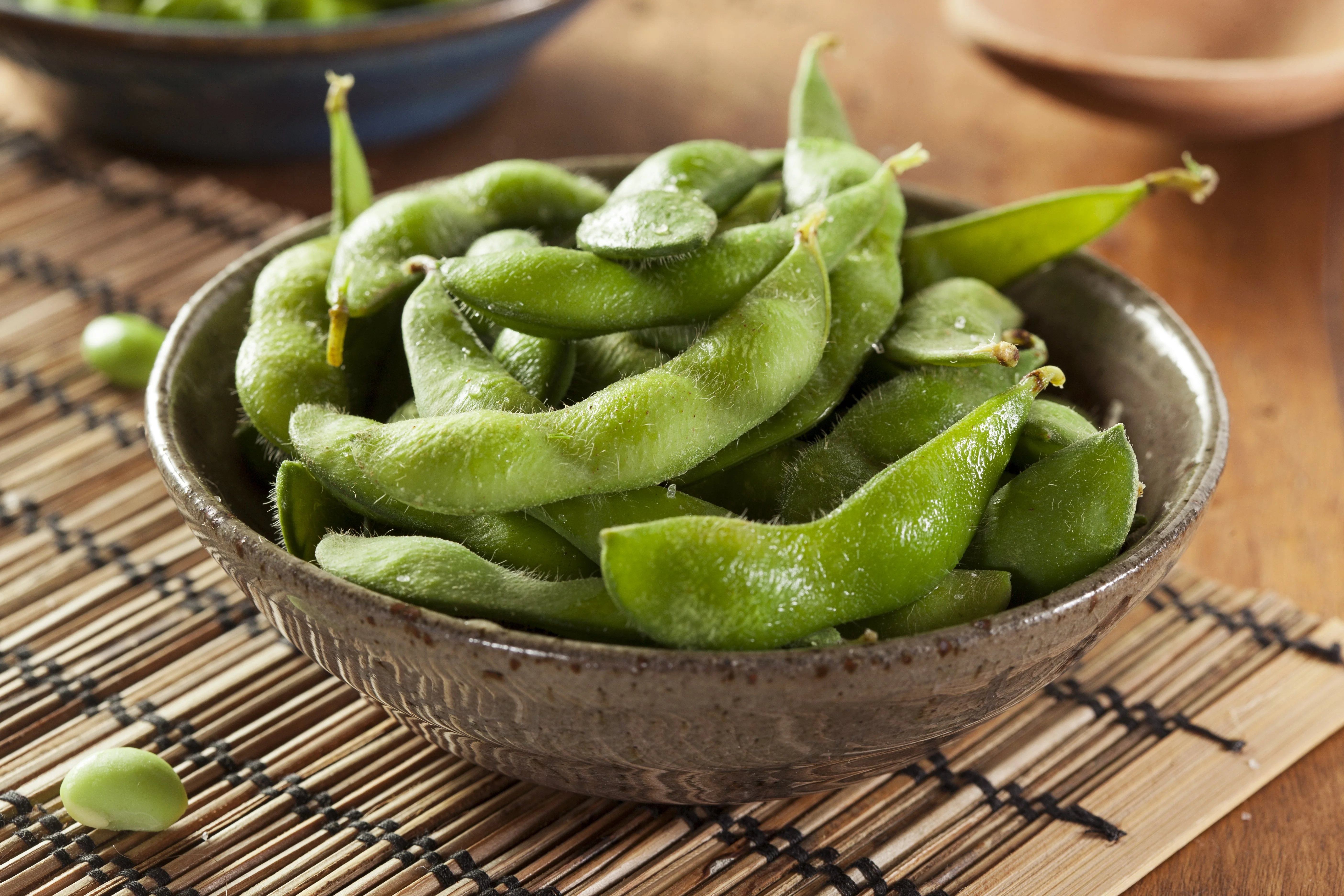 20 Buttery Edamame TOHYA SOYBEAN Pale Green Glycine Max Soy Bean Vegetable Seeds - Image 3