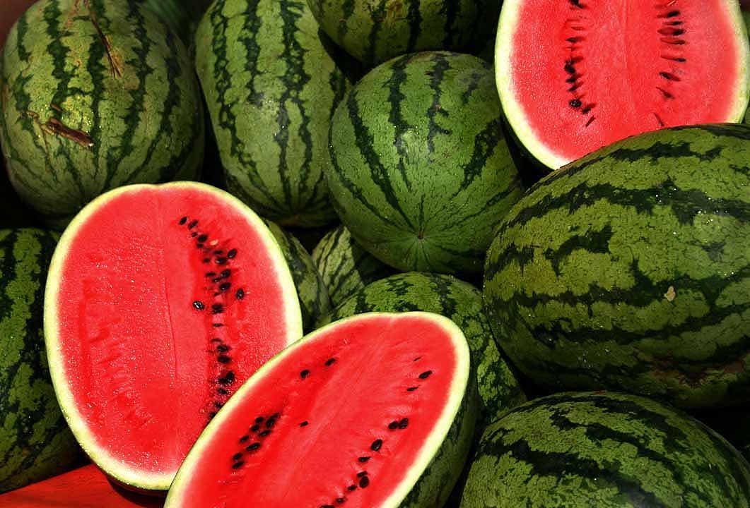 20 CAL SWEET Supreme WATERMELON Red Citrullus Lanatus 30 lb Melon Fruit Seeds - Image 3