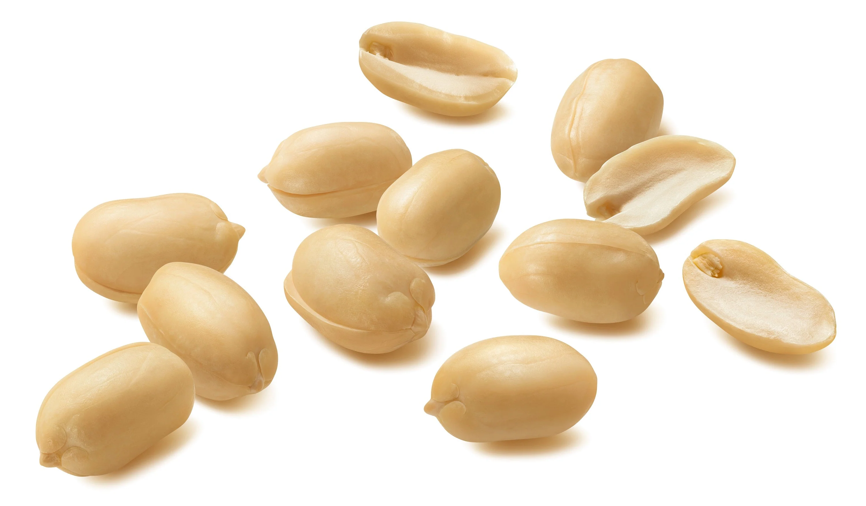20 Seeds Early SPANISH PEANUT Arachis Hypogaea Perennial Nut Plant - Image 3