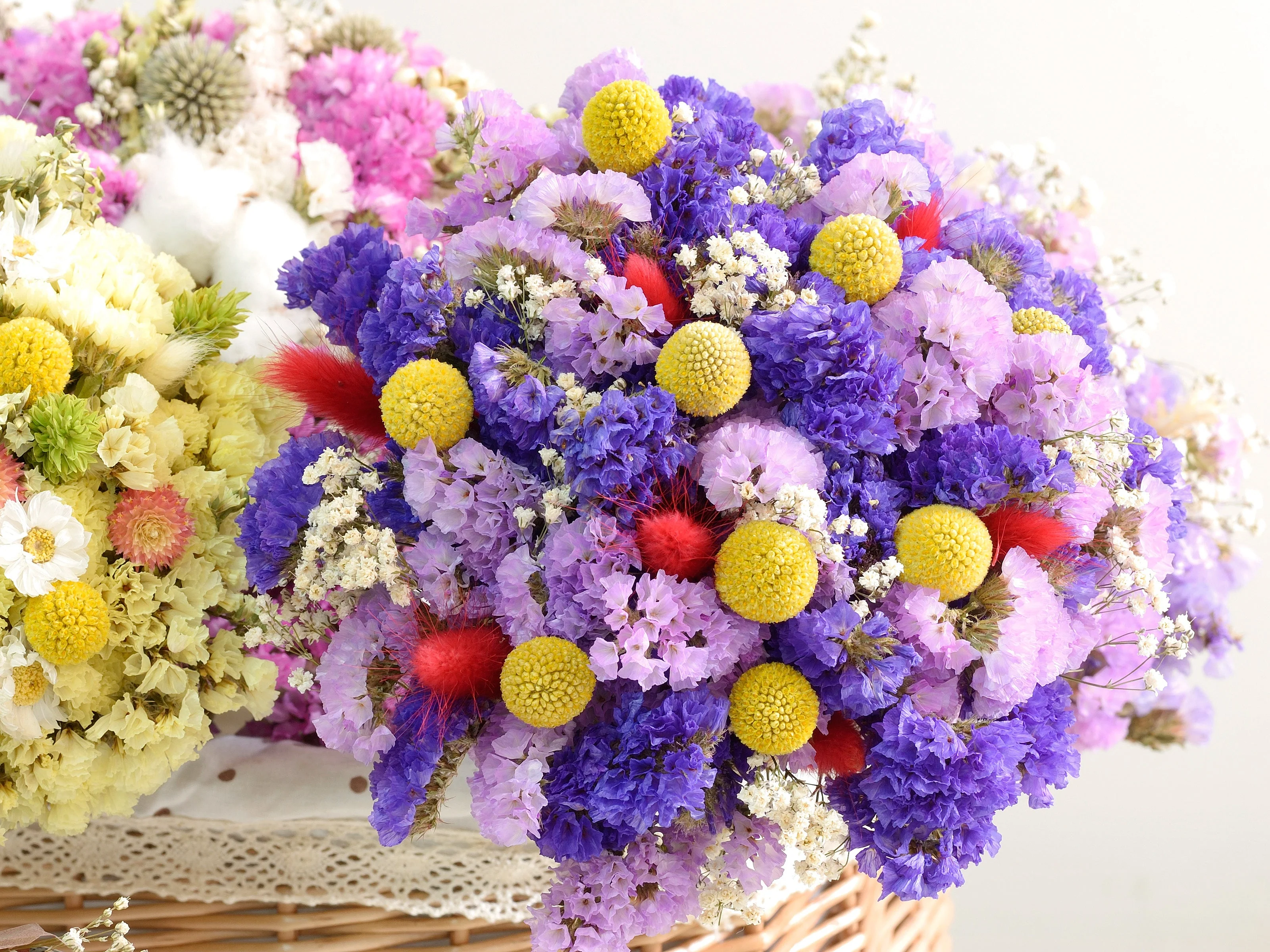 20 Yellow BILLY BUTTONS / WOLLYHEADS Craspedia Globosa Flower Seeds - Image 10