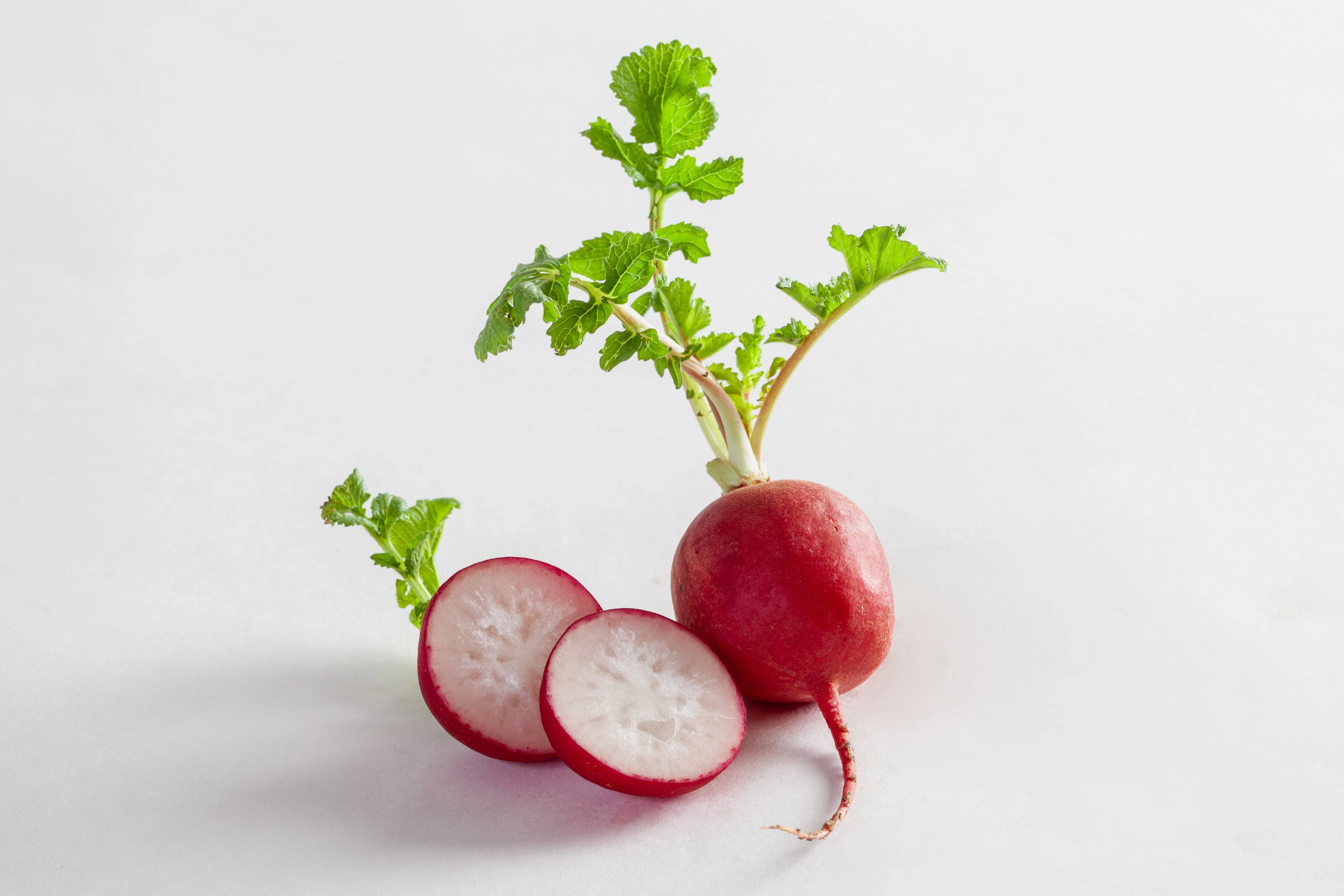 2000 CHERRY BELLE RADISH Raphanus Sativus Vegetable Seeds - Image 4