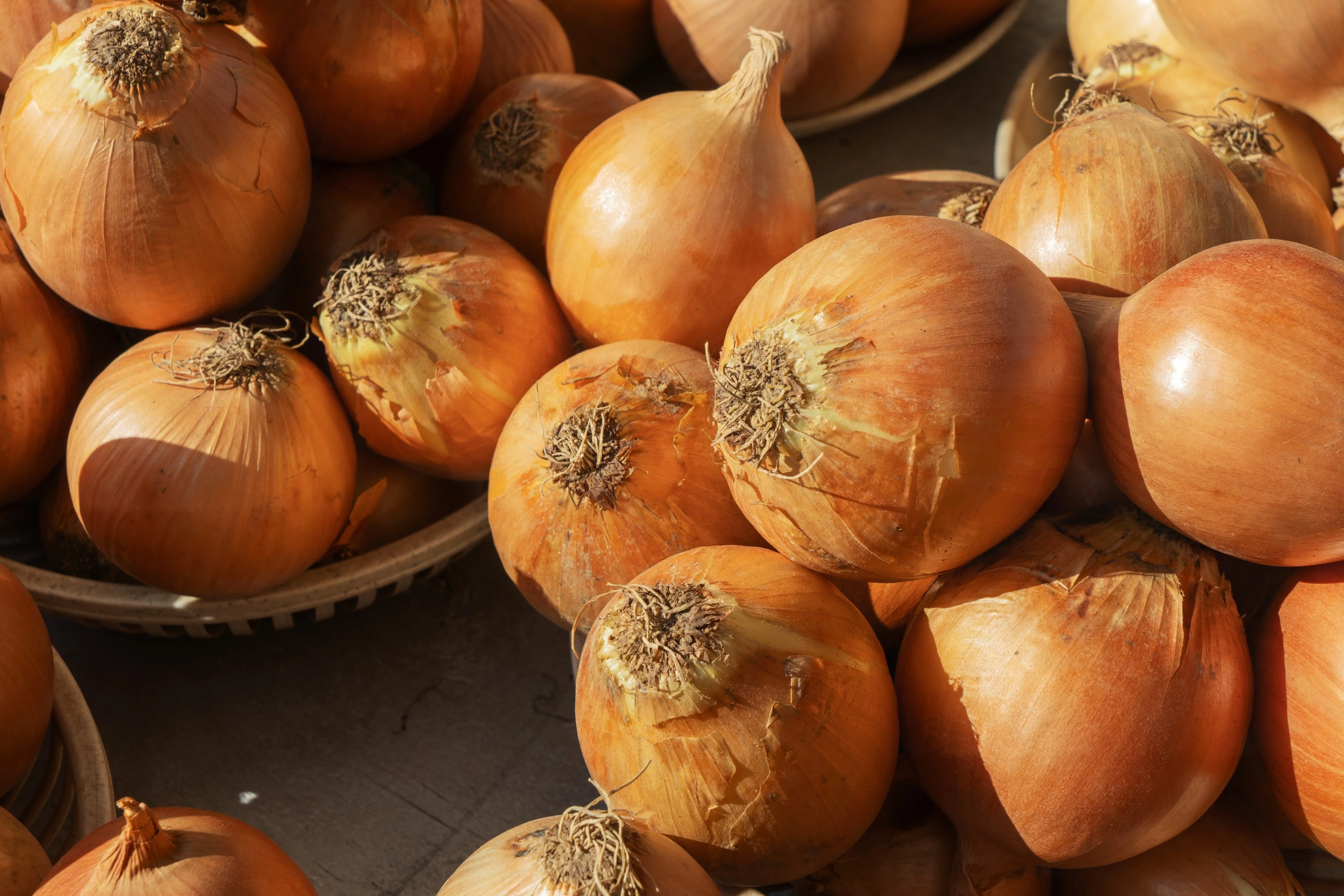 250 Sweet WALLA WALLA ONION Allium Cepa Vegetable Seeds - Image 6