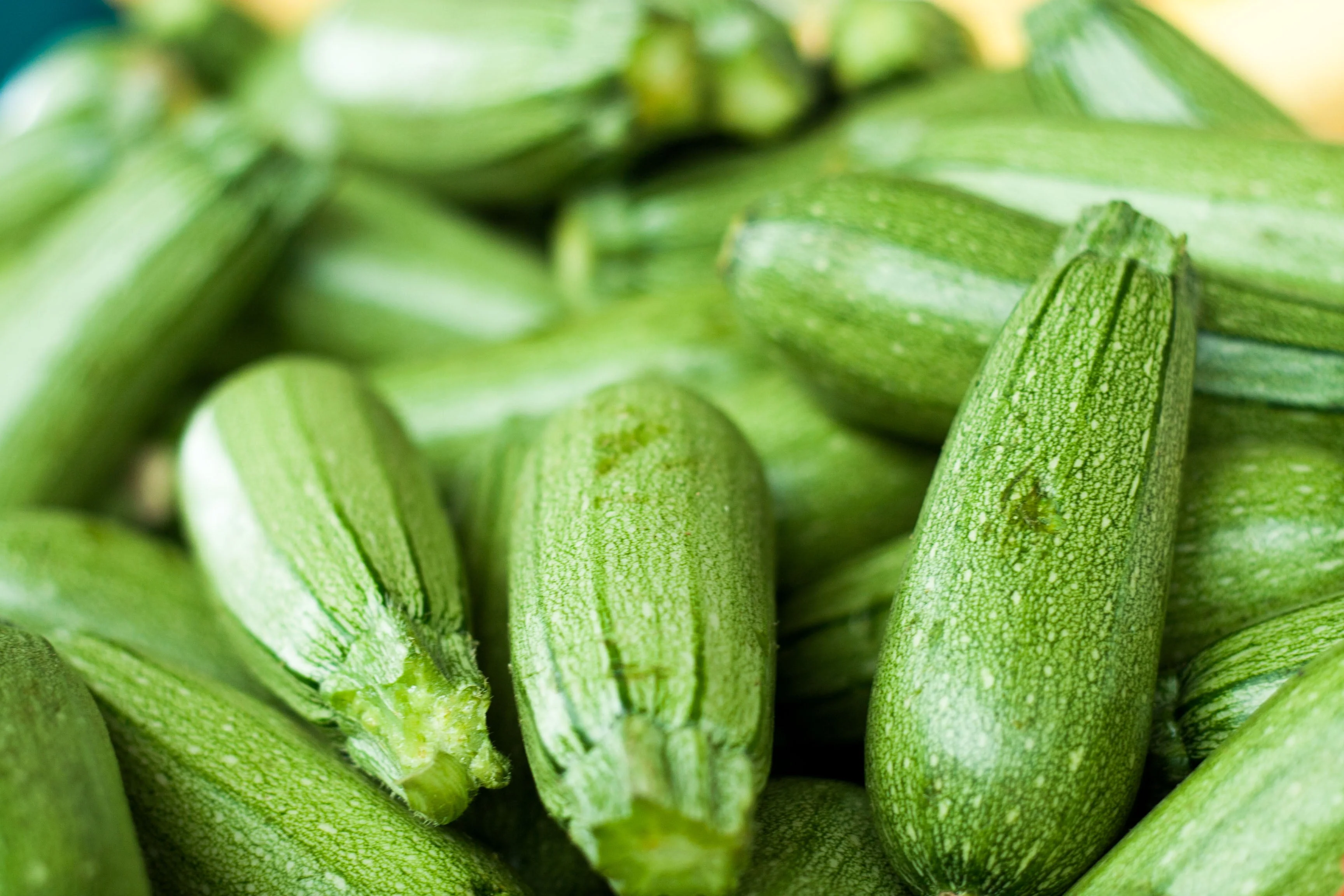 30 GRAY ZUCCHINI Heirloom Summer Bush Squash Cucurbita Pepo Vegetable Seeds - Image 3