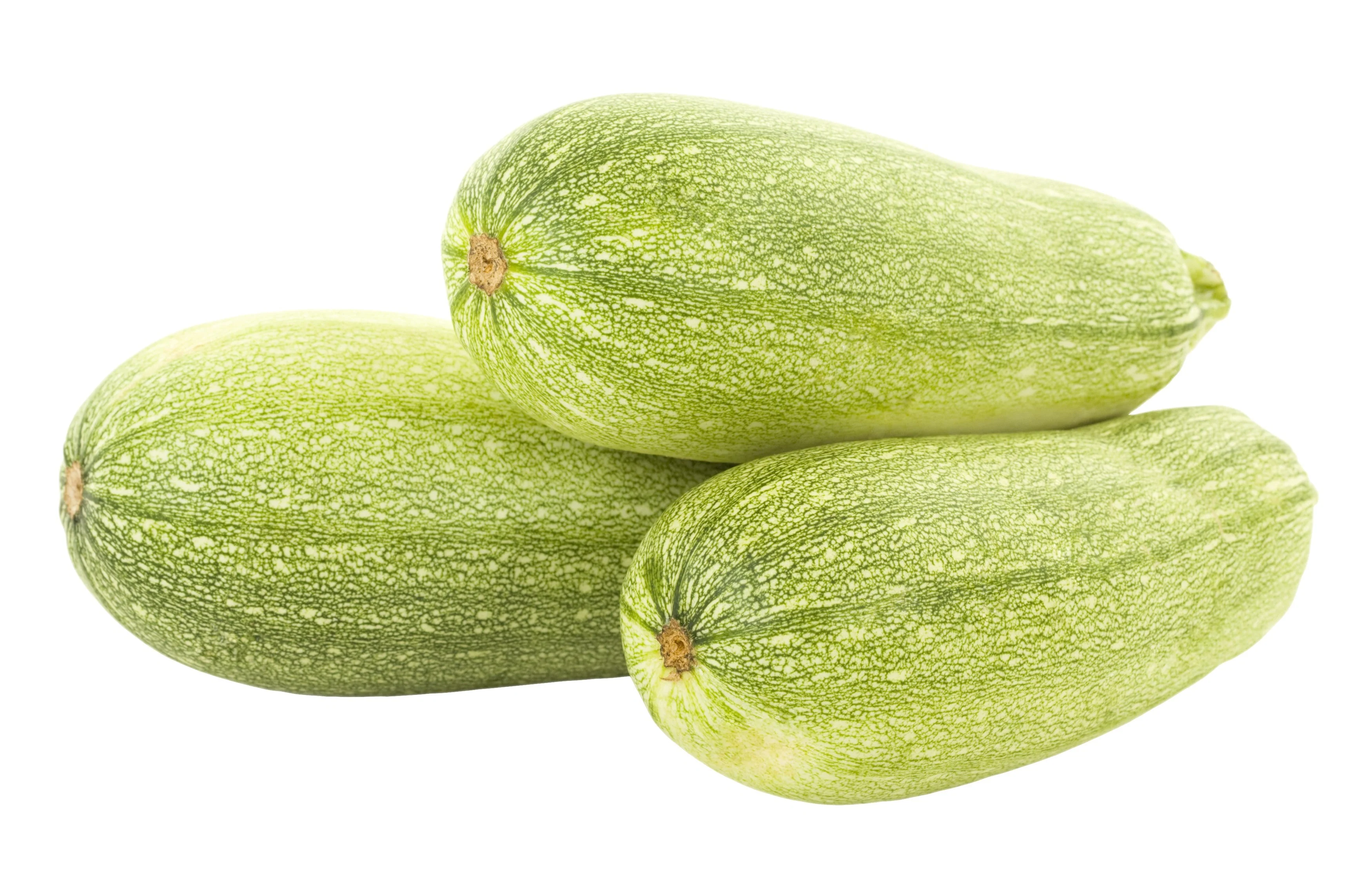 30 GRAY ZUCCHINI Heirloom Summer Bush Squash Cucurbita Pepo Vegetable Seeds - Image 6
