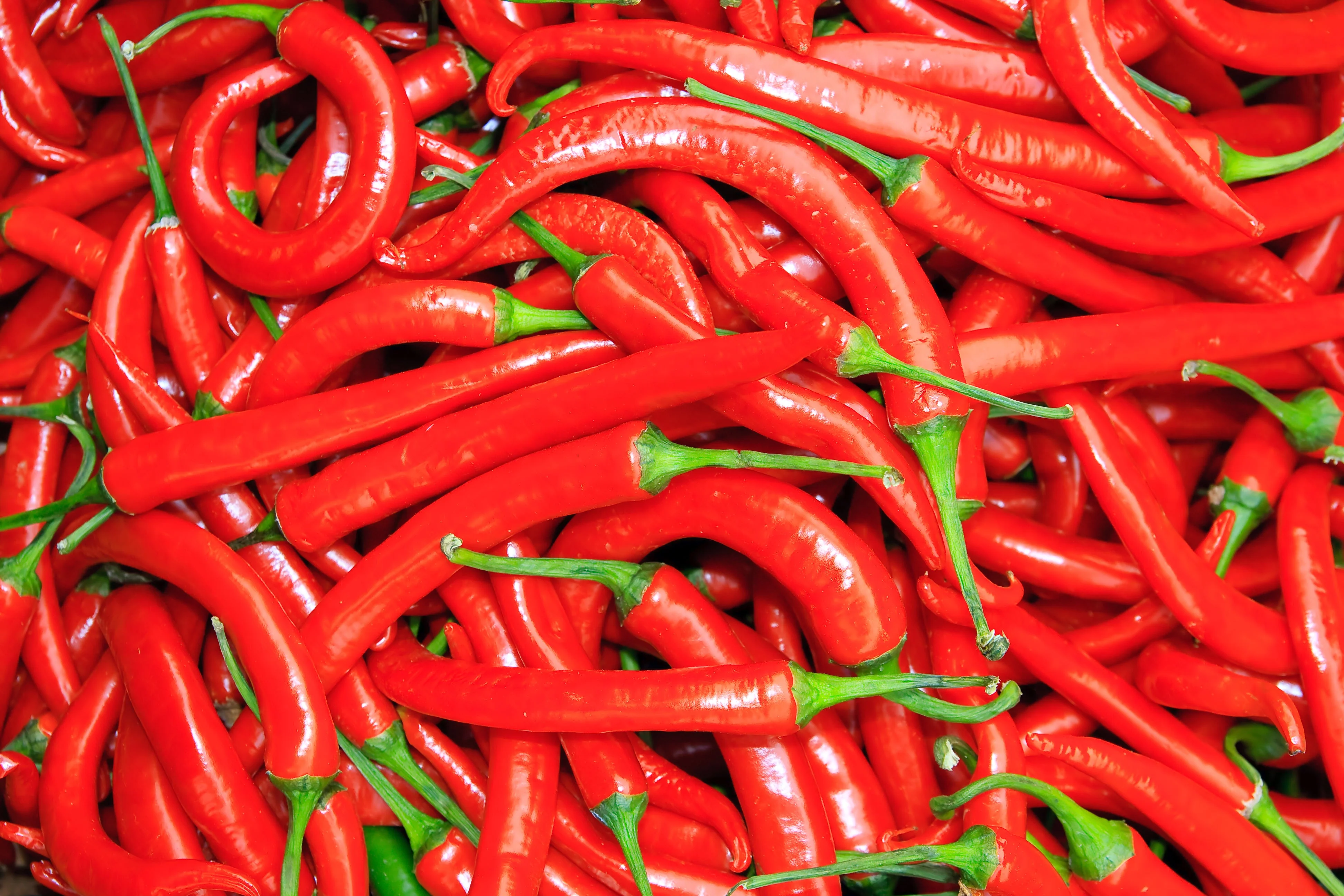 300 LONG Red CAYENNE PEPPER Hot Capsicum Annuum Vegetable Seeds - Image 6