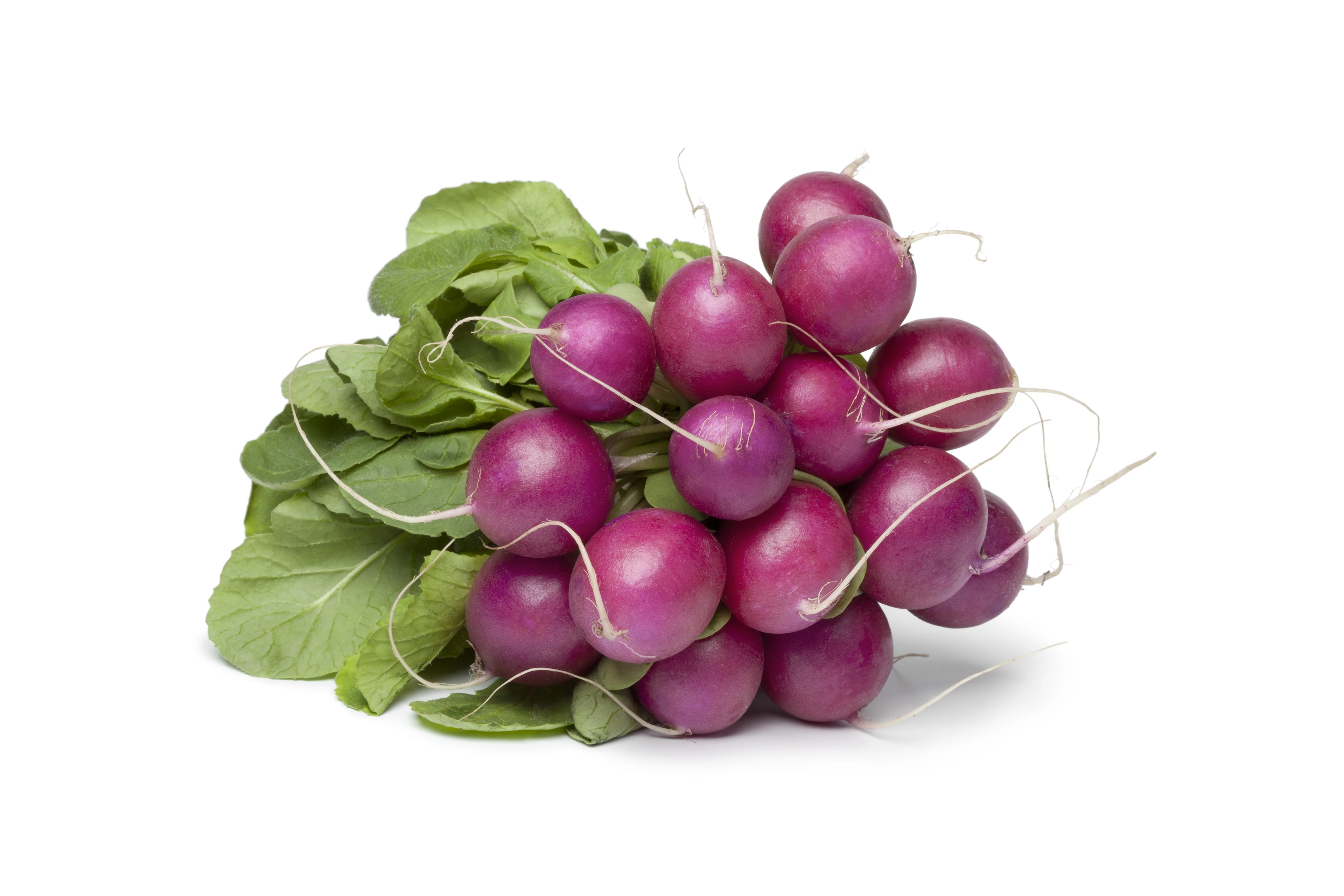 300 PURPLE PLUM RADISH Raphanus Sativus White Flesh Root Vegetable Seeds - Image 2