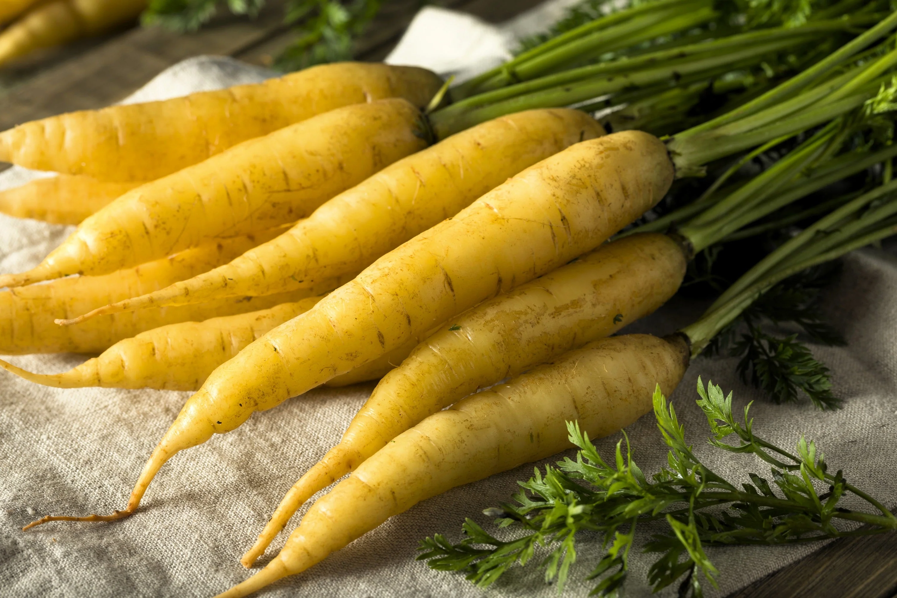 300 SOLAR YELLOW CARROT Daucus Carota Vegetable Seeds - Image 2