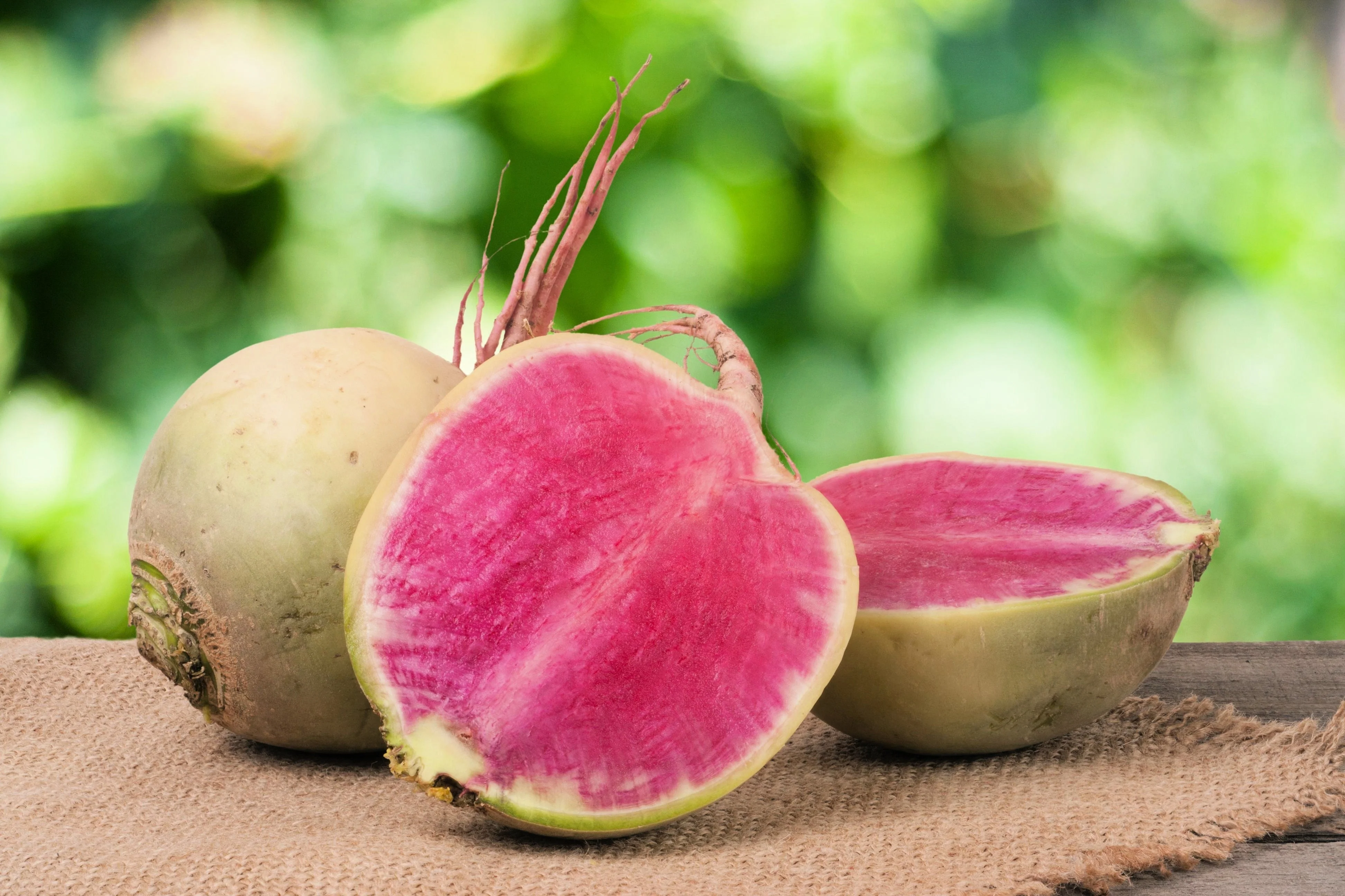 300 WATERMELON RADISH Beauty Heart Raphanus Sativus Pink White Vegetable Seeds - Image 2