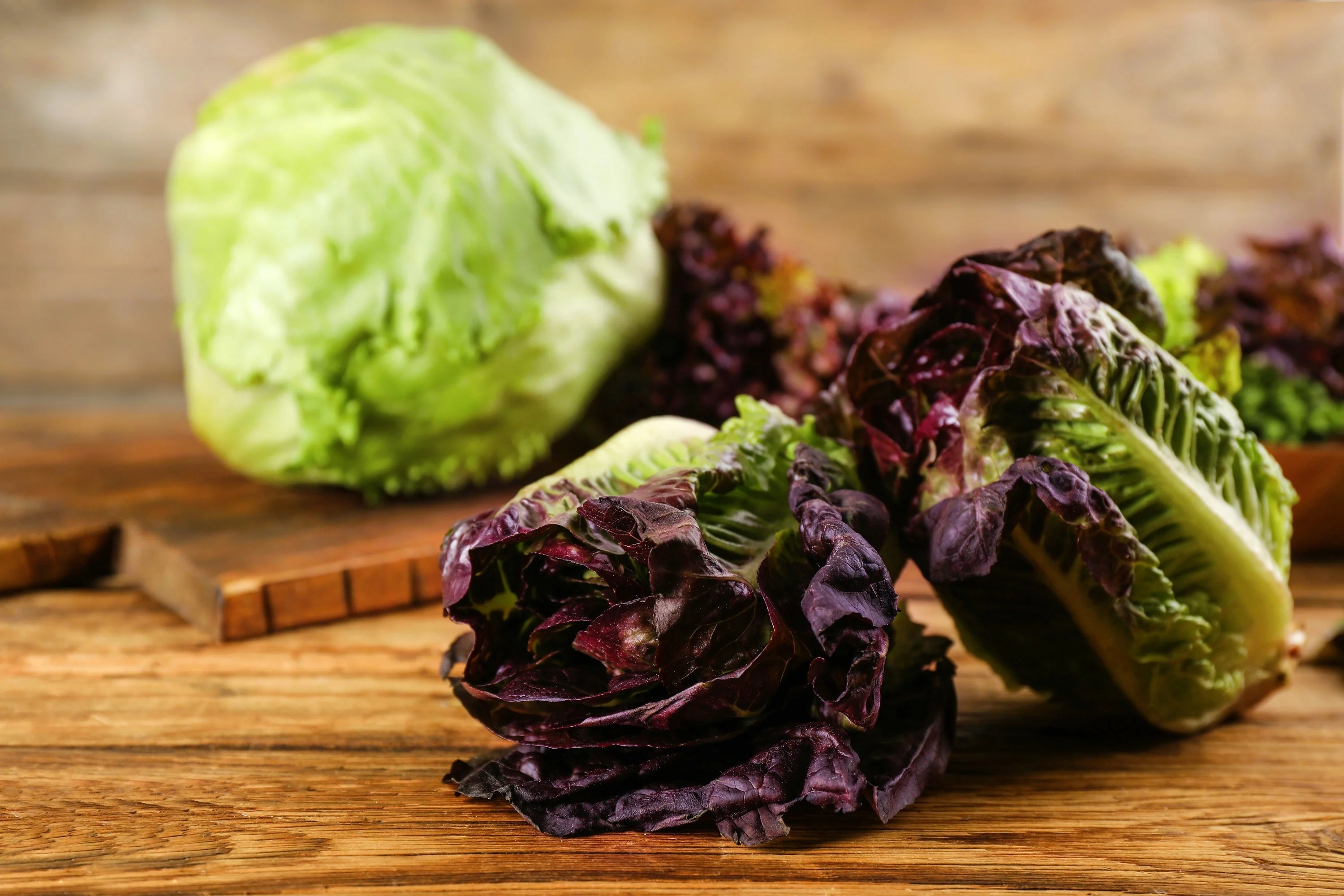 3000 RED ROMAINE LETTUCE Lactuca Sativa Vegetable Seeds - Image 9