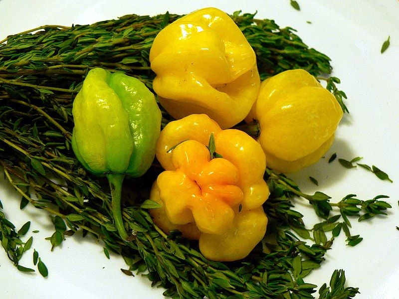 40 Yellow SCOTCH BONNET PEPPER very hot Jamaican Capsicum Chinense Vegetable Seeds - Image 2