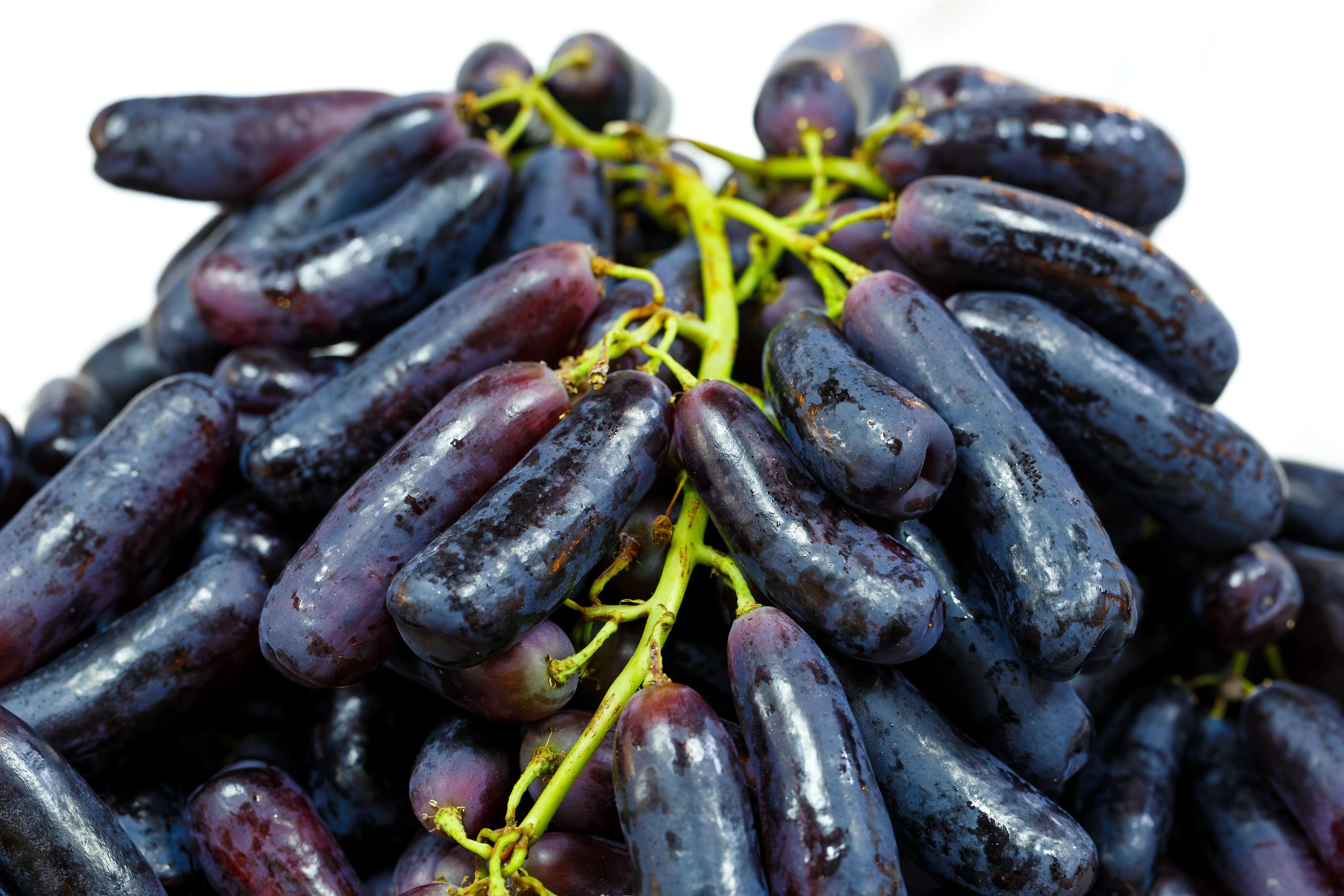 5 BLACK FINGER GRAPE Vitis Viniferia Fruit Vine Seeds - Image 2