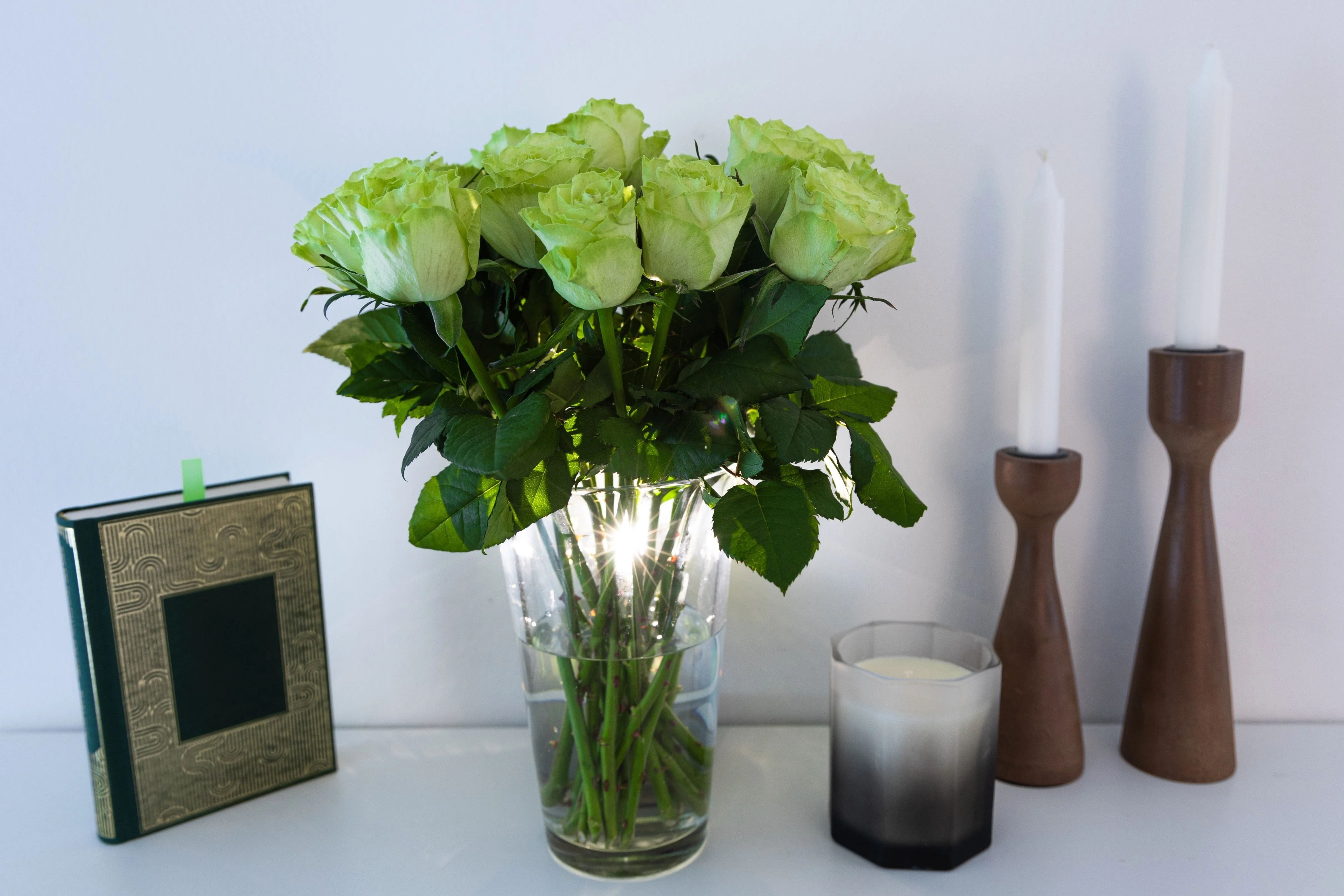 5 GREEN ROSE Rosa Bush Shrub Perennial Flower Seeds - Image 8