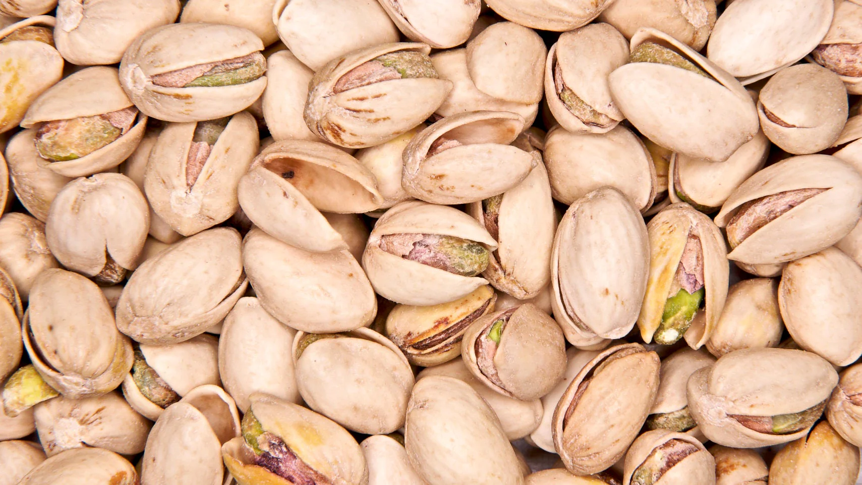5 PISTACHIO NUT TREE Pistacia Vera Fruit Red Flowers Seeds - Image 3