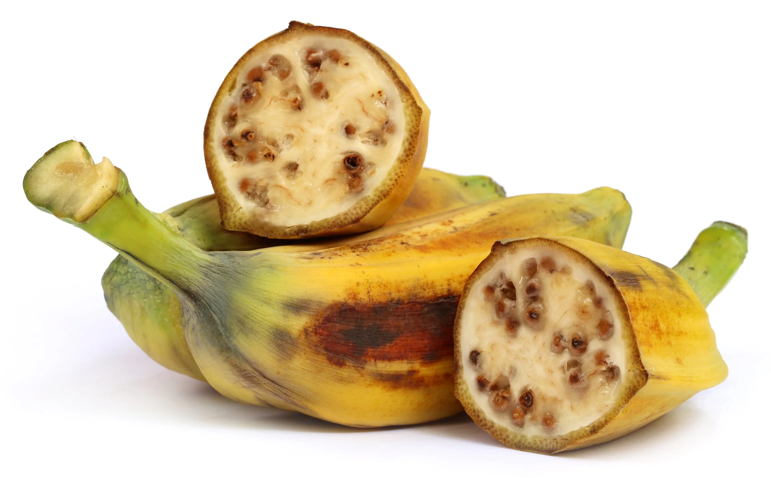 5 PLANTAIN BANANA Musa Balbisiana Hardy Red Flowering Sweet Wild Fruit Tree Seeds - Image 12