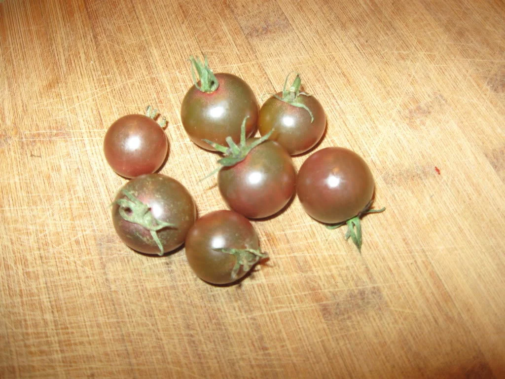 50 BLACK CHERRY TOMATO Black Skin Sweet Round Lycopersicon Fruit Vegetable Seeds - Image 10