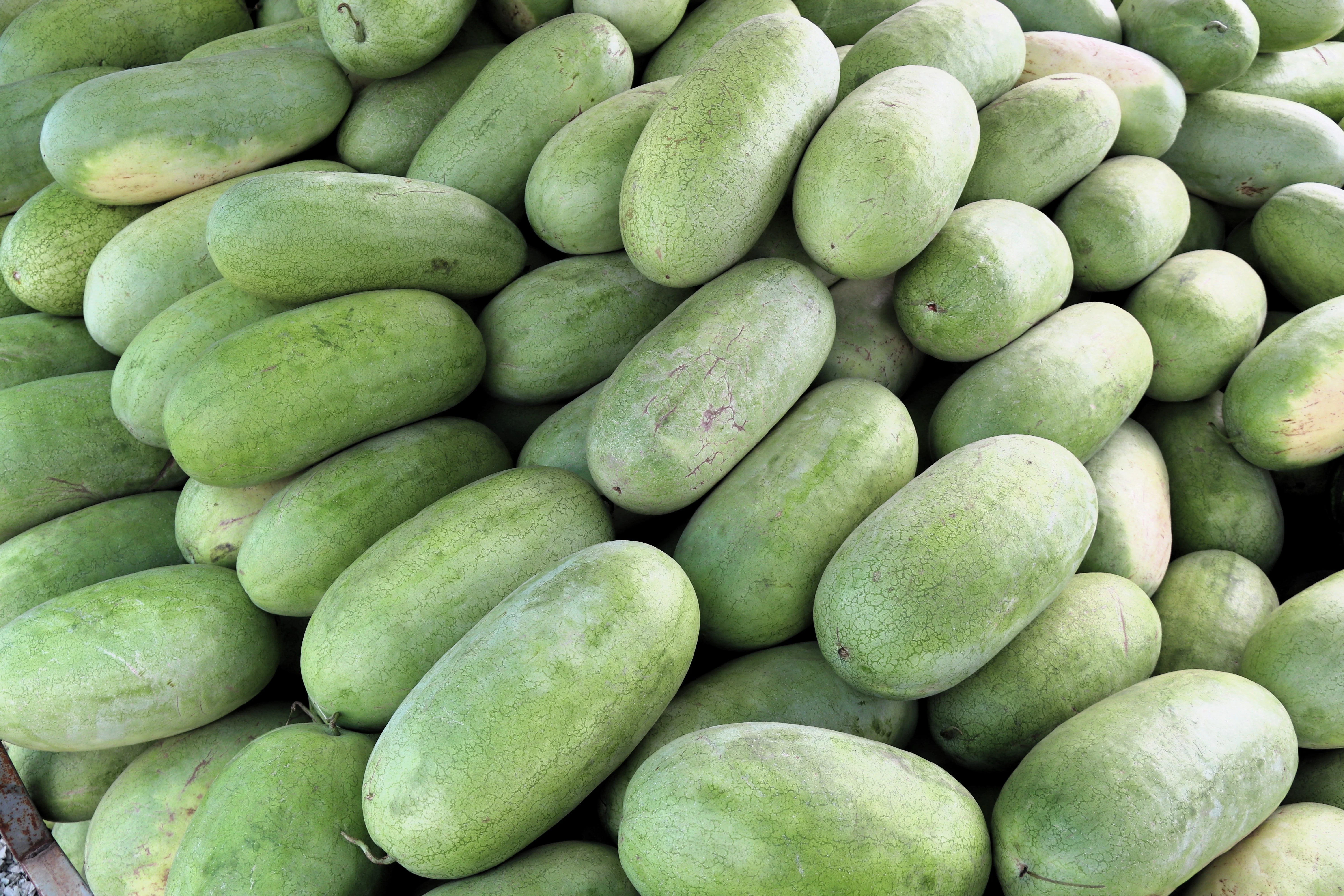 50 CHARLESTON GRAY WATERMELON Citrullus Lanatus Red Fruit Melon Seeds - Image 7