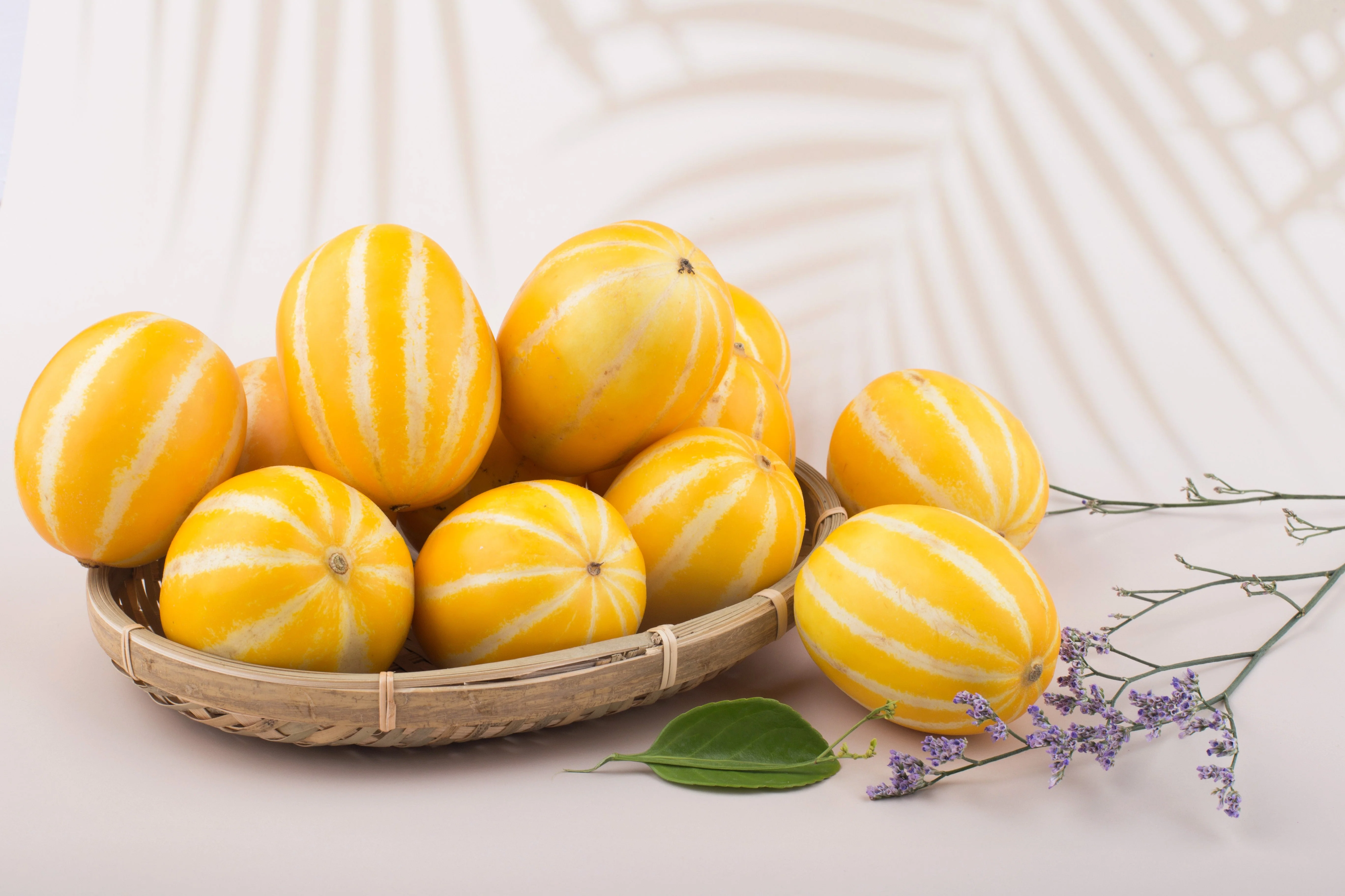50 EARLY SILVER LINE MELON Cucumis Melo Yellow Striped Skin White Flesh Korean Fruit Seeds - Image 5