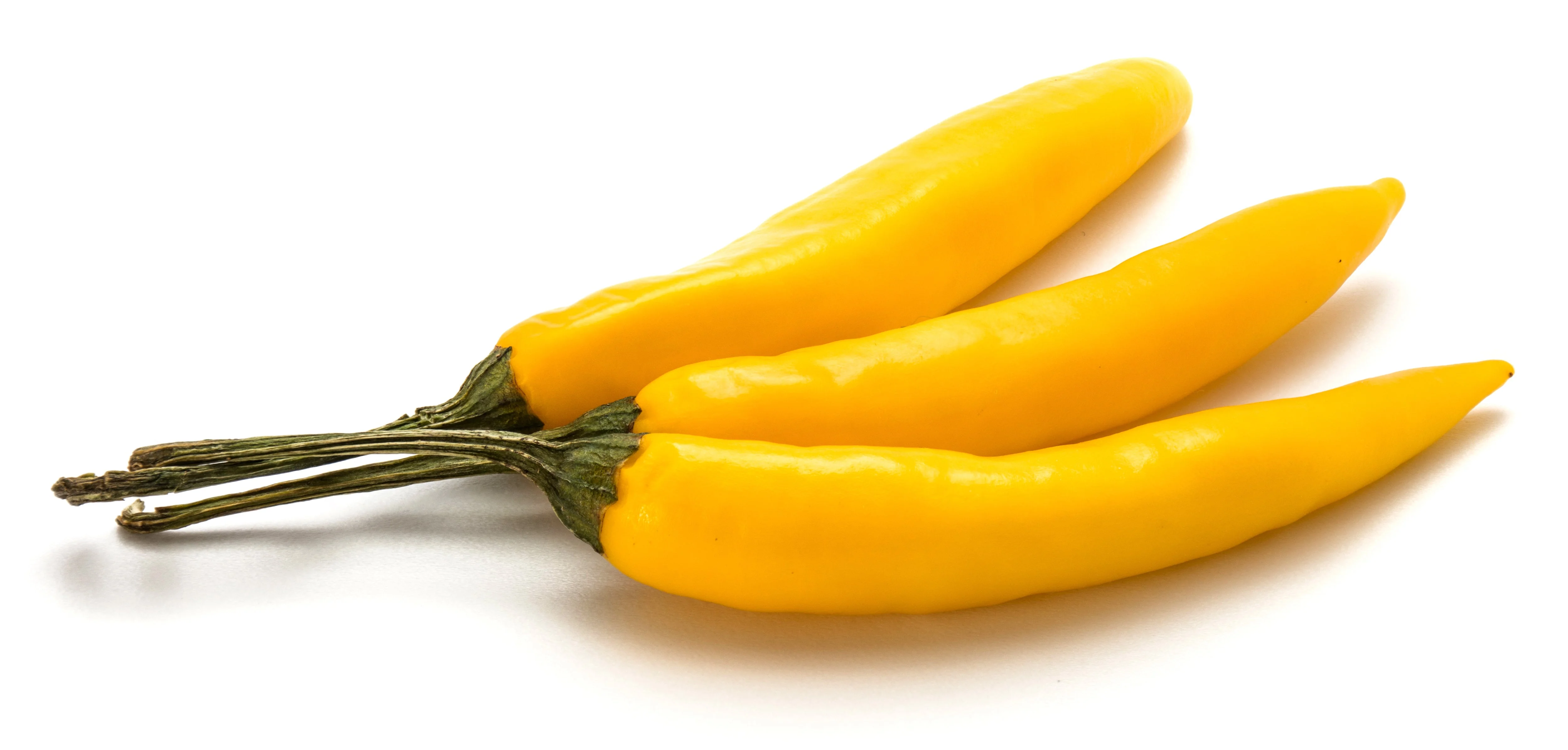 50 GOLDEN CAYENNE PEPPER Hot Yellow Capsicum Annuum Vegetable Seeds - Image 2