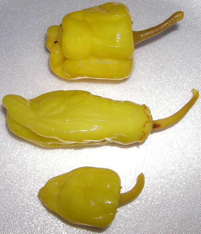 50 GREEK GOLDEN PEPPER Pepperoncini Gold Yellow Capsicum Annuum Vegetable Seeds - Image 6
