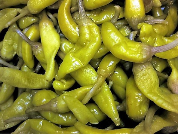 50 GREEK GOLDEN PEPPER Pepperoncini Gold Yellow Capsicum Annuum Vegetable Seeds - Image 8
