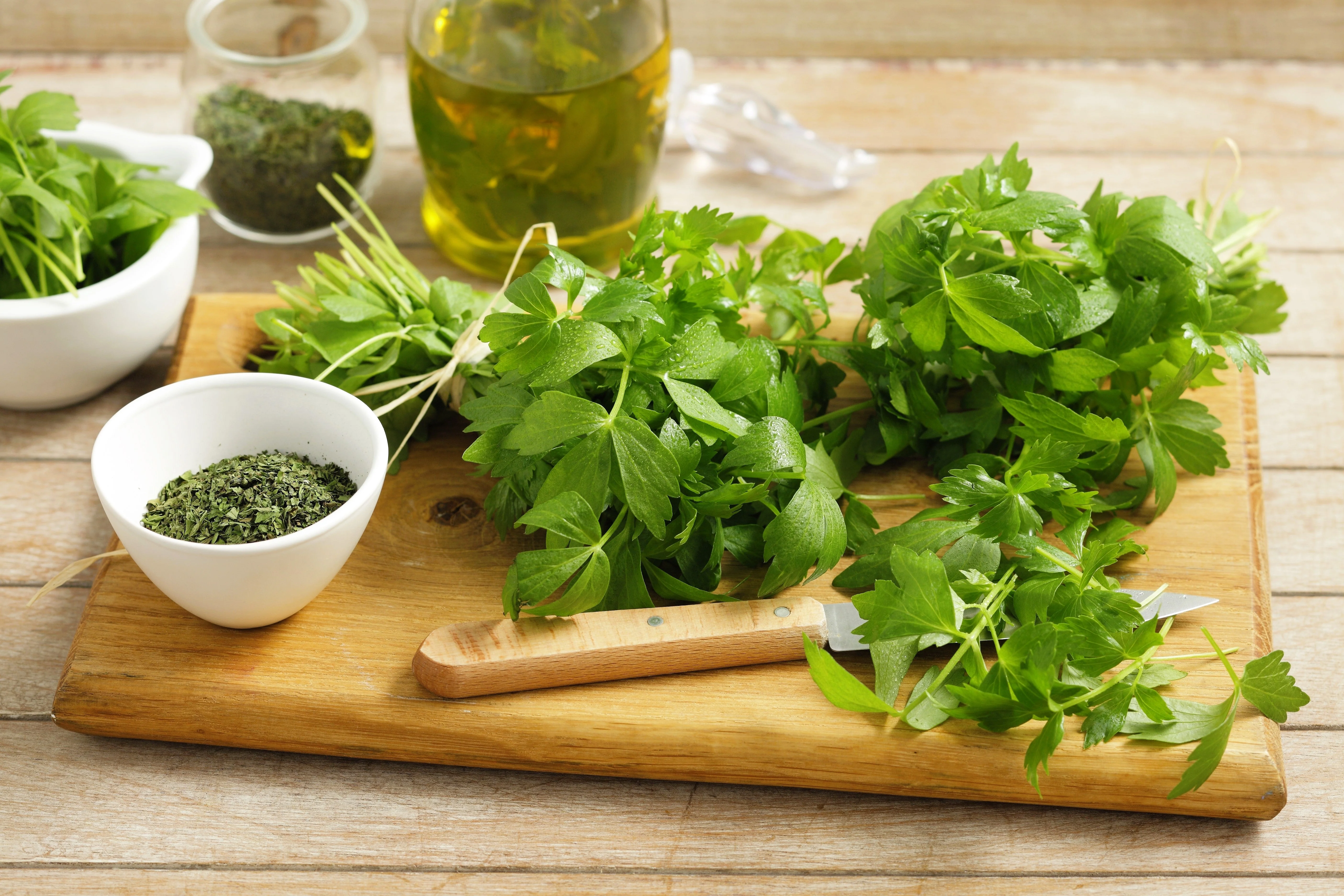 50 LOVAGE Levistucum Officinale - Flavor like celery & anise - Herb Flower Seeds - Image 2