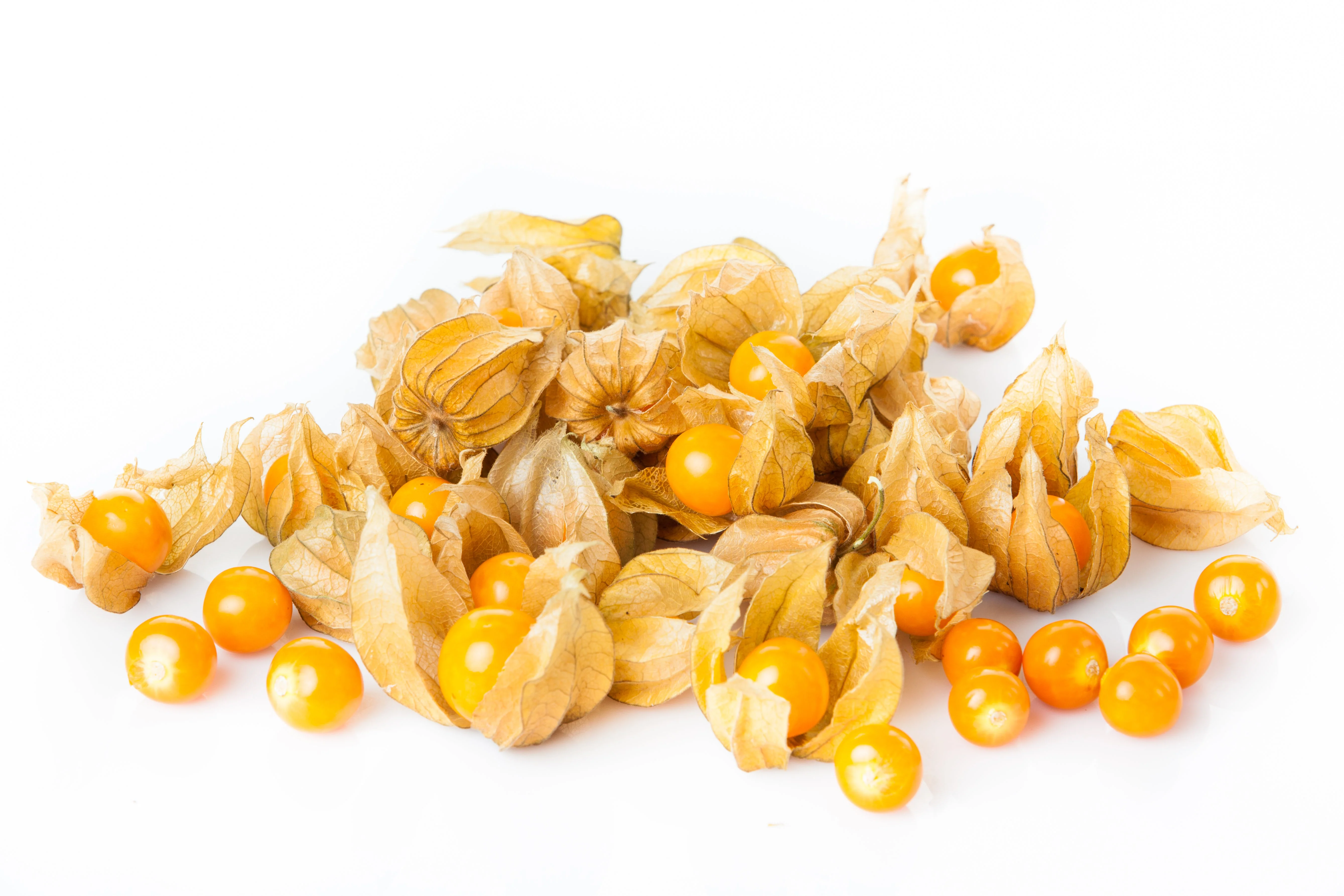 50 PERUVIAN GROUND CHERRY Physalis Peruviana Cape Gooseberry Fruit Veggie Seeds - Image 4