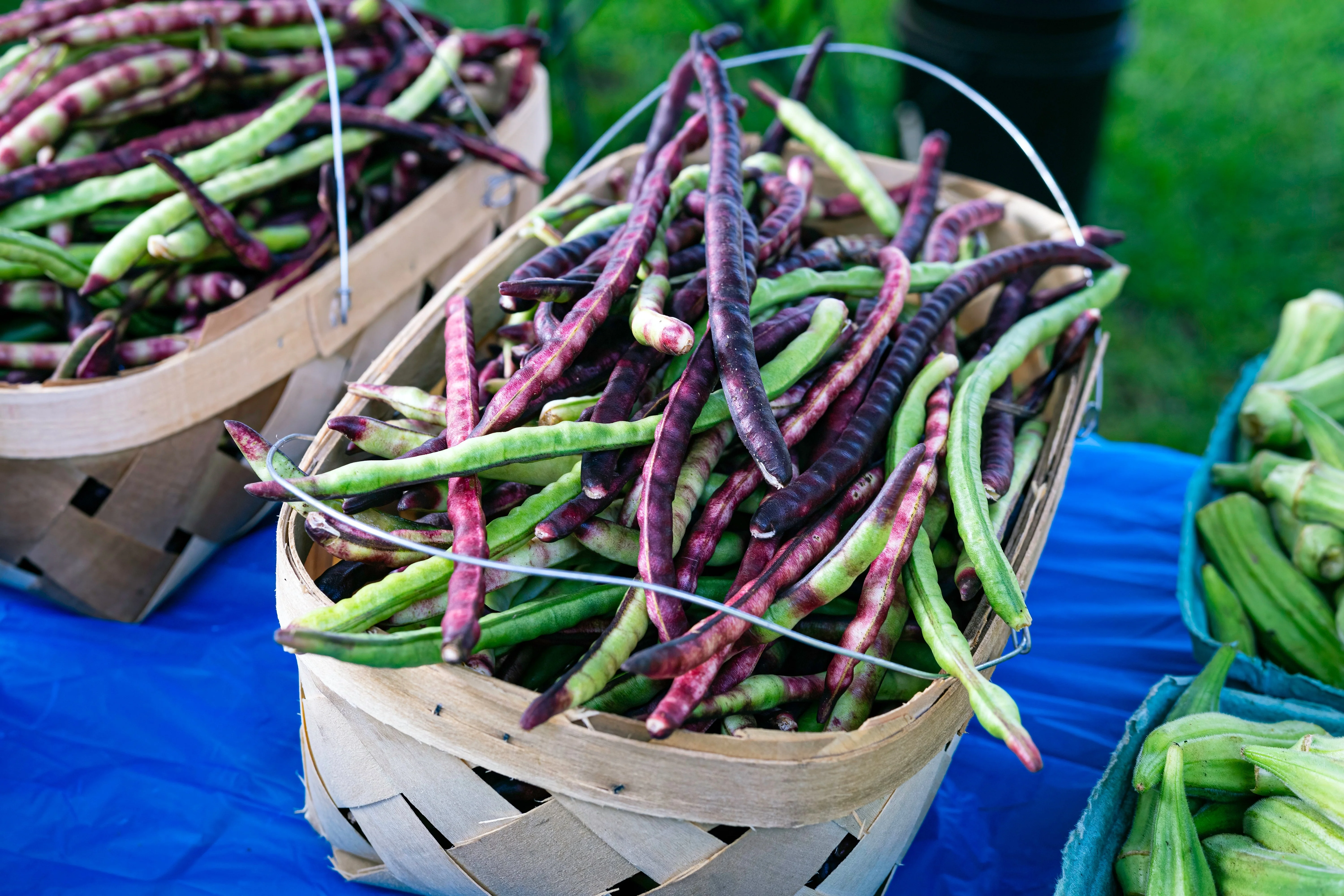 50 PURPLE PINKEYE COWPEA Southern Cow Pea Crowder Vigna Unguiculata Vegetable Legume Seeds - Image 2