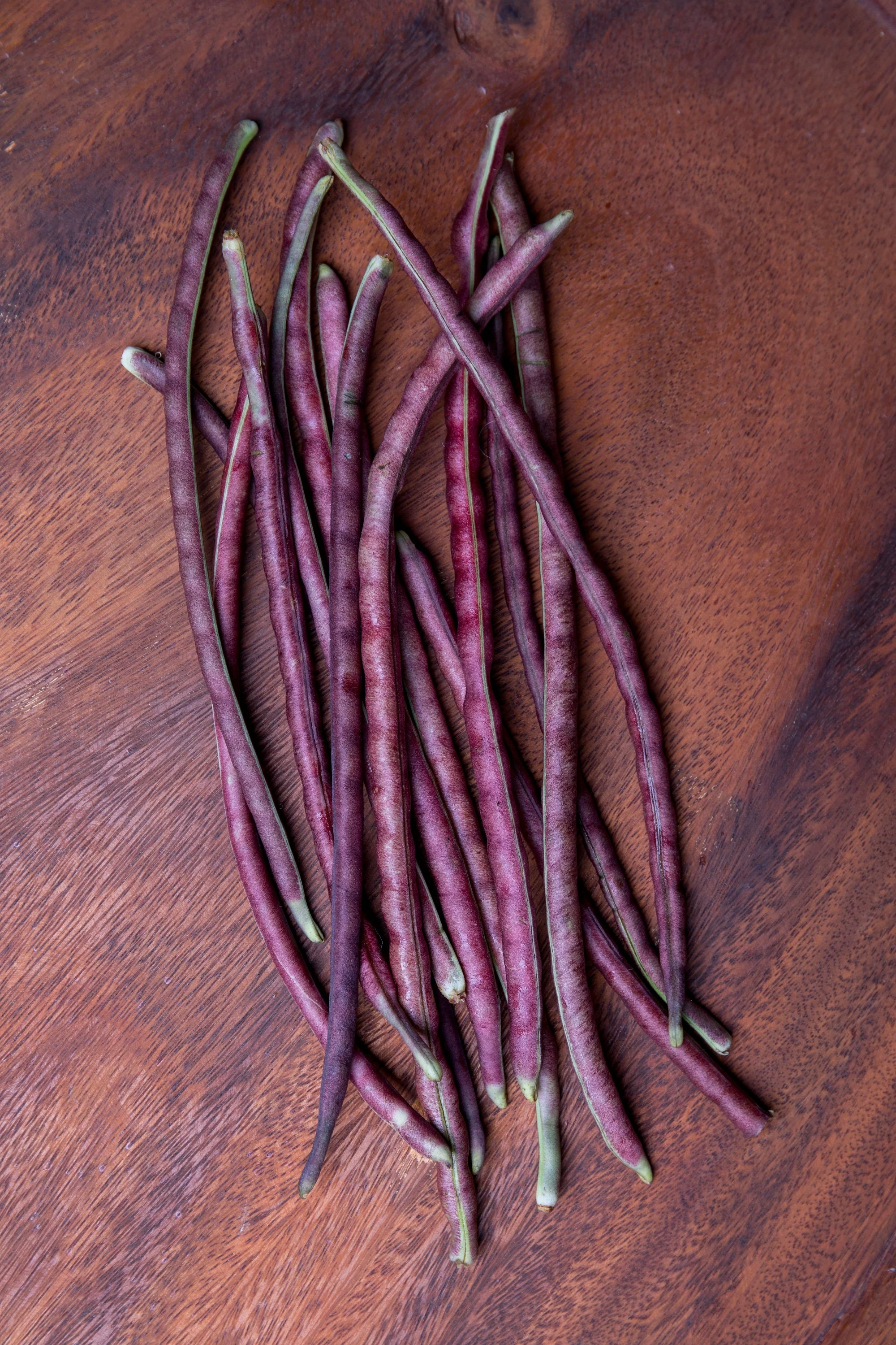 50 PURPLE PINKEYE COWPEA Southern Cow Pea Crowder Vigna Unguiculata Vegetable Legume Seeds - Image 8