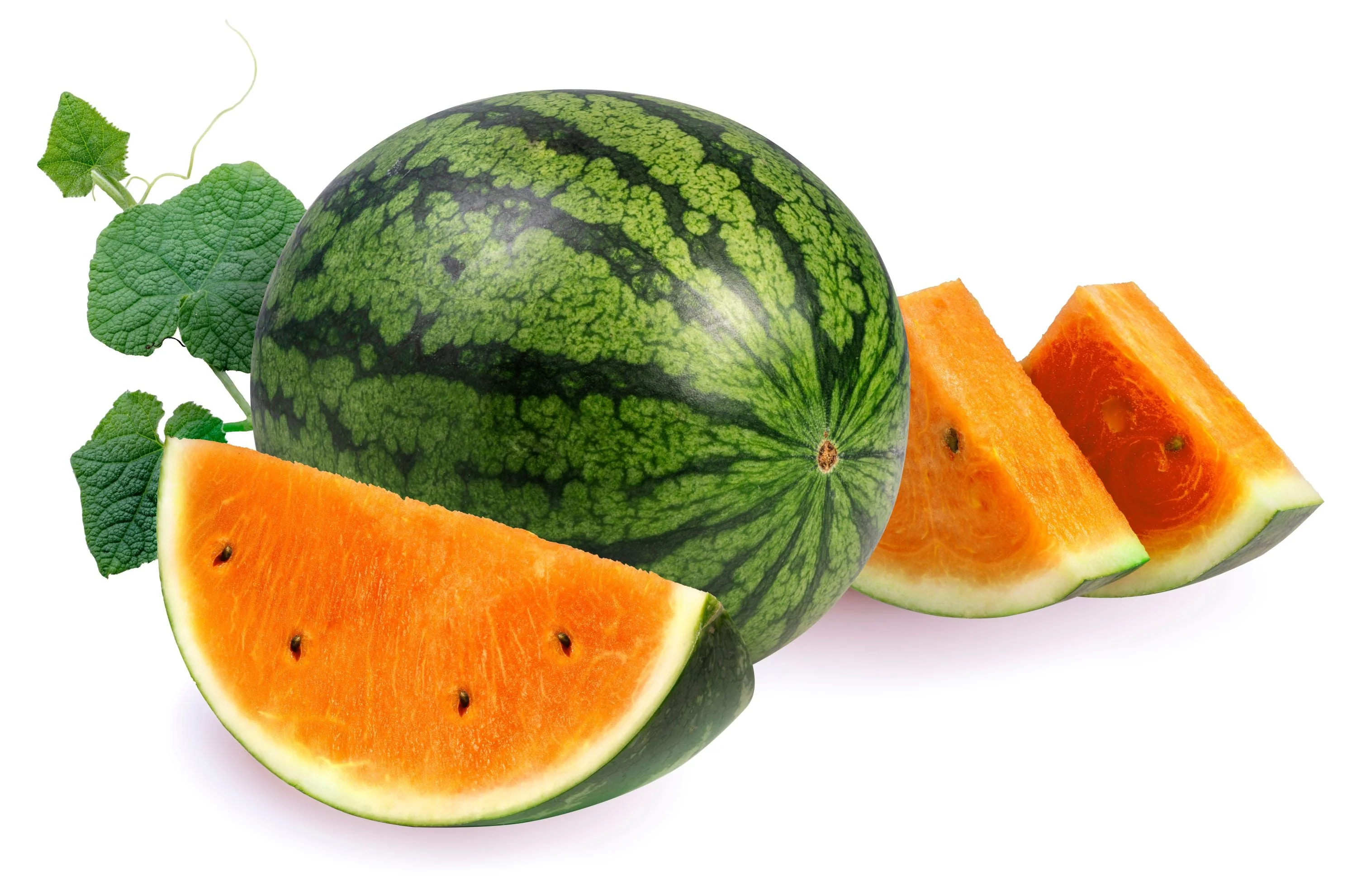 50 TENDERSWEET ORANGE WATERMELON Orange Flesh Citrullus Lanatus Fruit Melon Seeds - Image 5