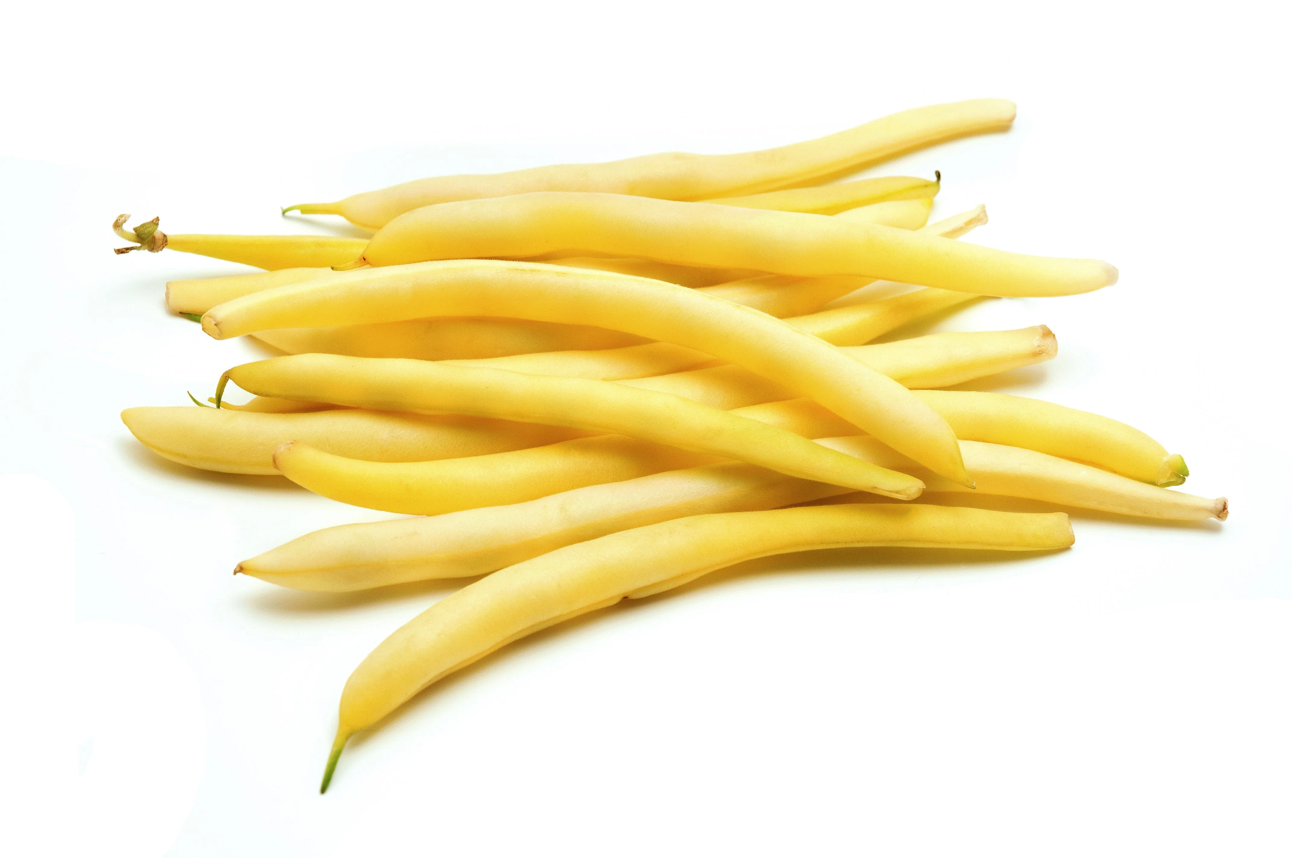 50 Yellow CHEROKEE WAX BEAN Bush AAS Winner Phaseolus Vulgaris Seeds - Image 5