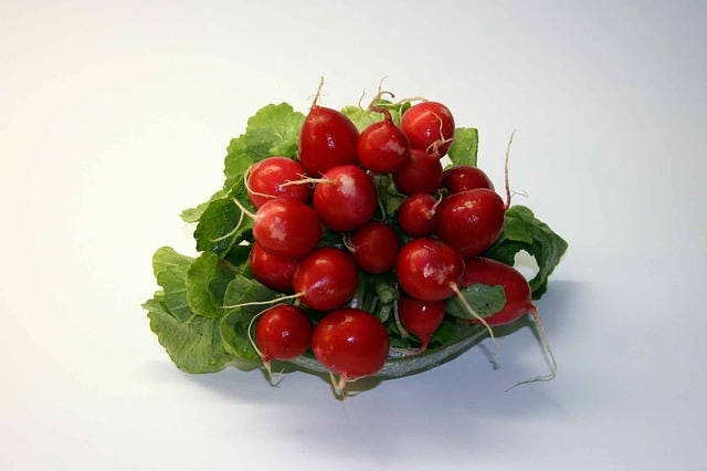 500 CHAMPION RADISH Sweet Scarlet Red Raphanus Sativus Root Vegetable Seeds - Image 7