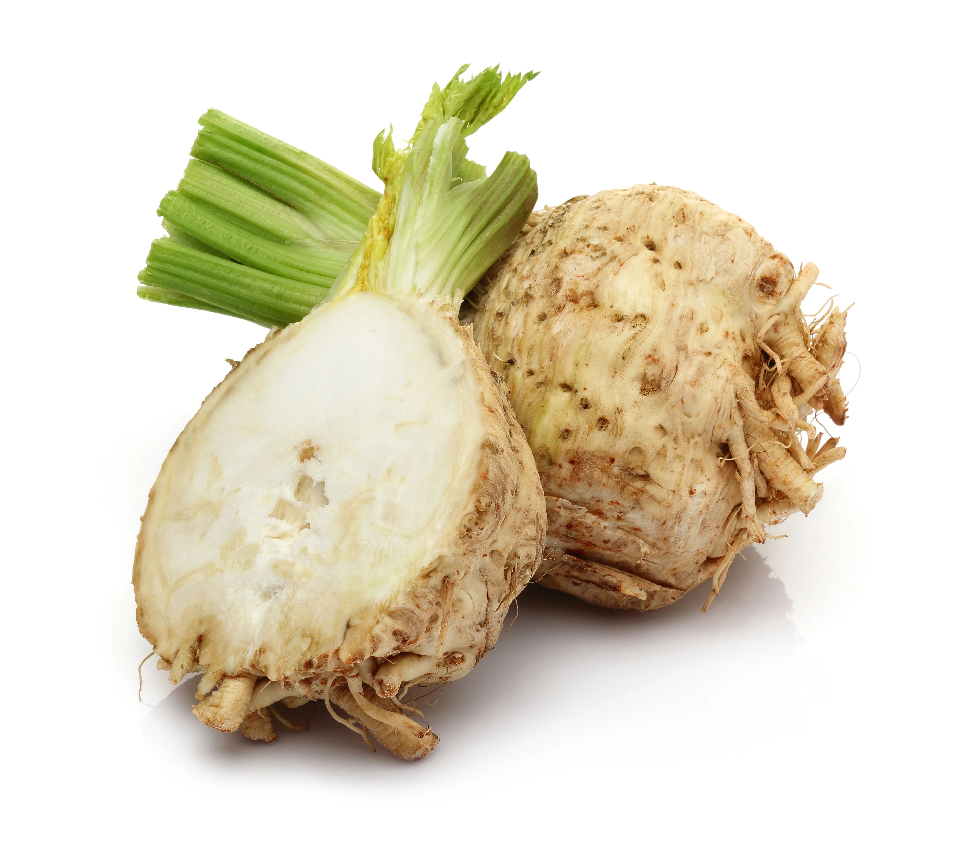 500 GIANT PRAGUE CELERIAC Apium Graveolens Celery Root Vegetable Seeds - Image 3