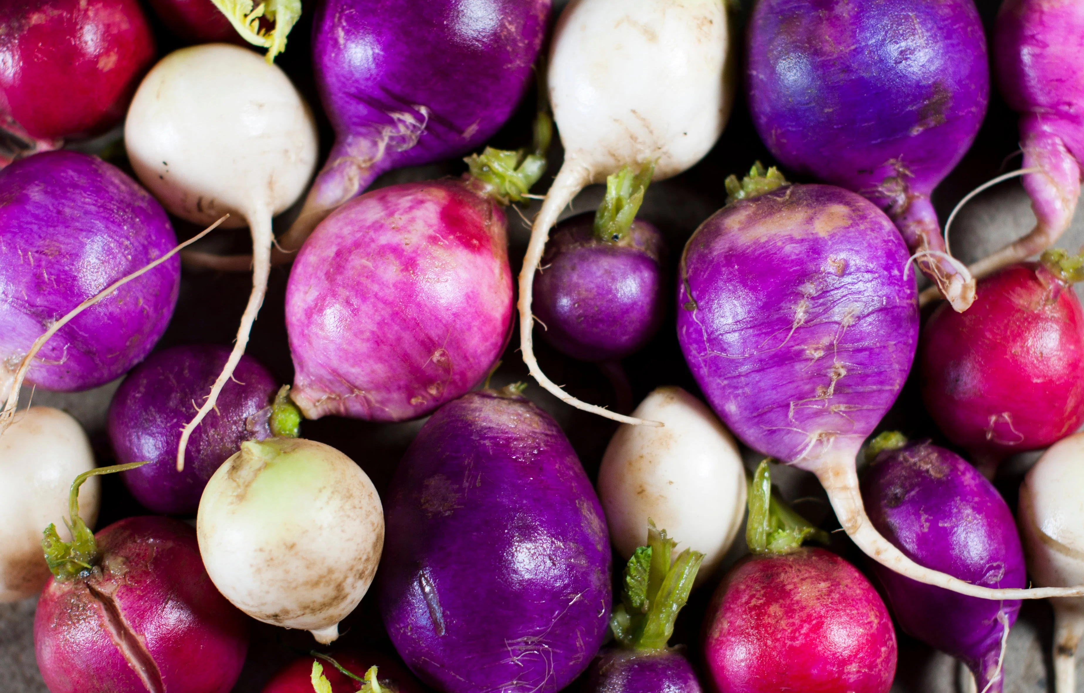 500 Mixed Colors EASTER EGG RADISH Raphanus Sativus Vegetable Seeds - Image 6