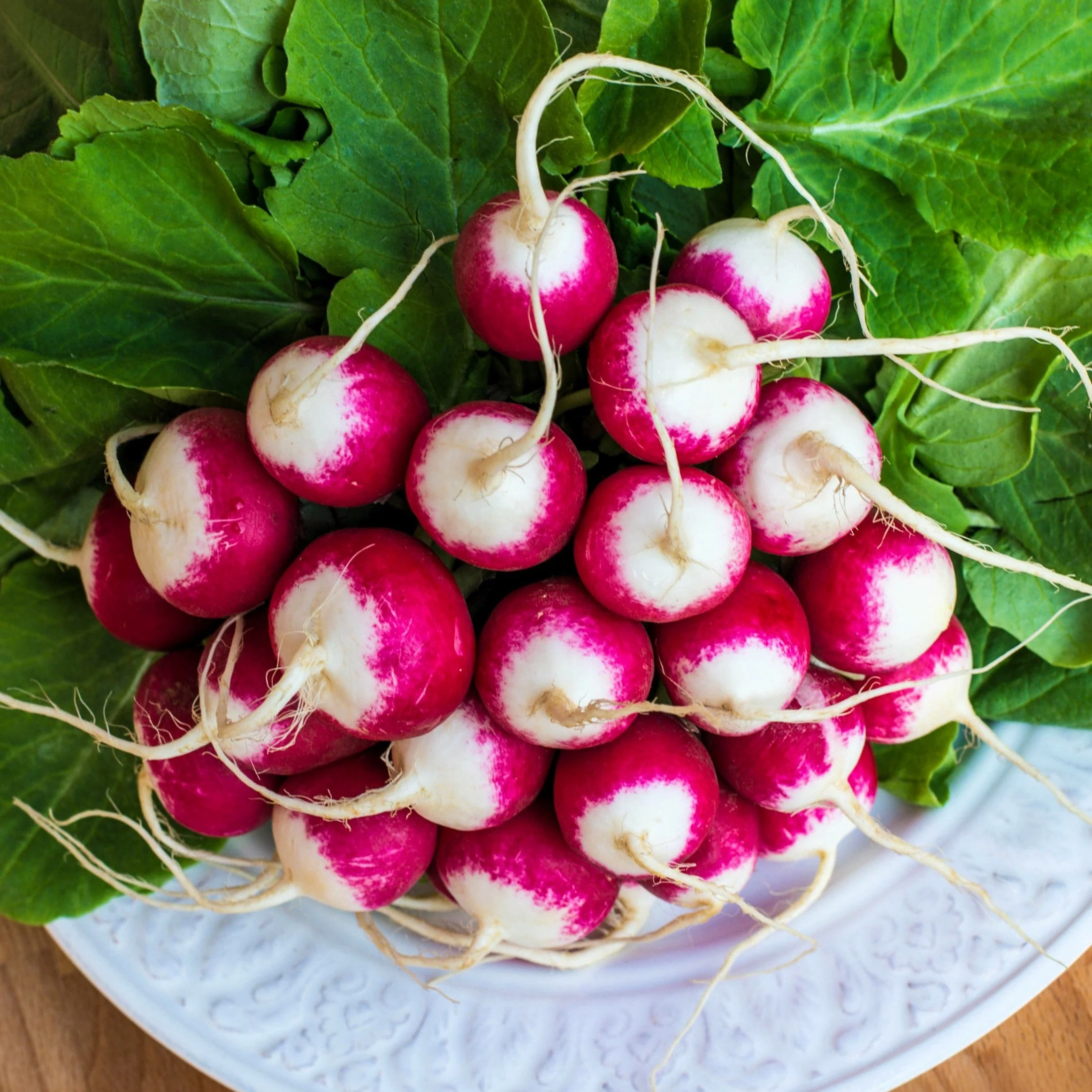 500 SPARKLER WHITE Tip RADISH Sweet European Red Raphanus Sativus Vegetable Seed - Image 2