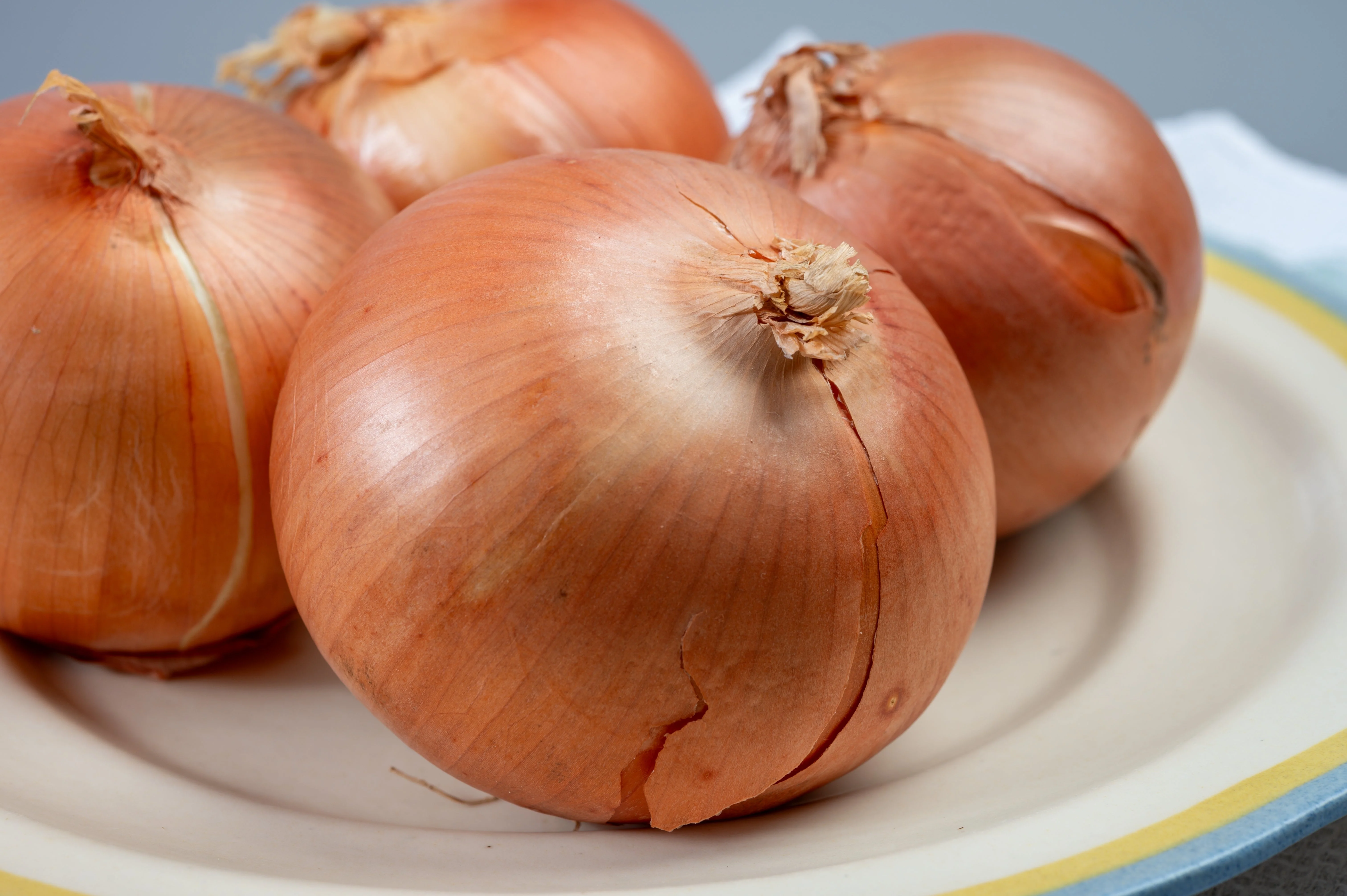500 Sweet YELLOW SPANISH ONION Allium Cepa Vegetable Seeds - Image 6