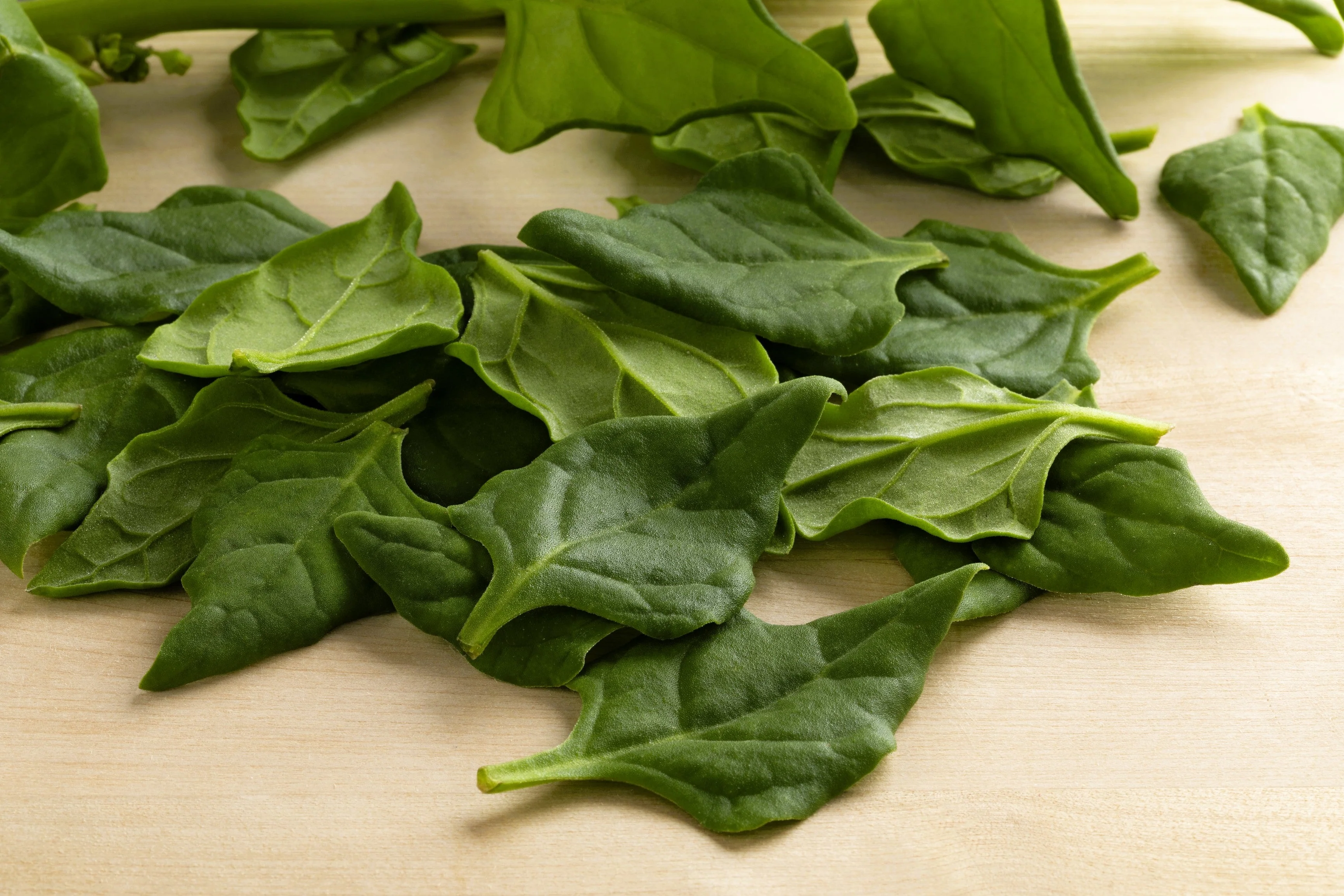 60 NEW ZEALAND SPINACH Tetragonia Tetragonioides Vegetable Greens Seeds - Image 4