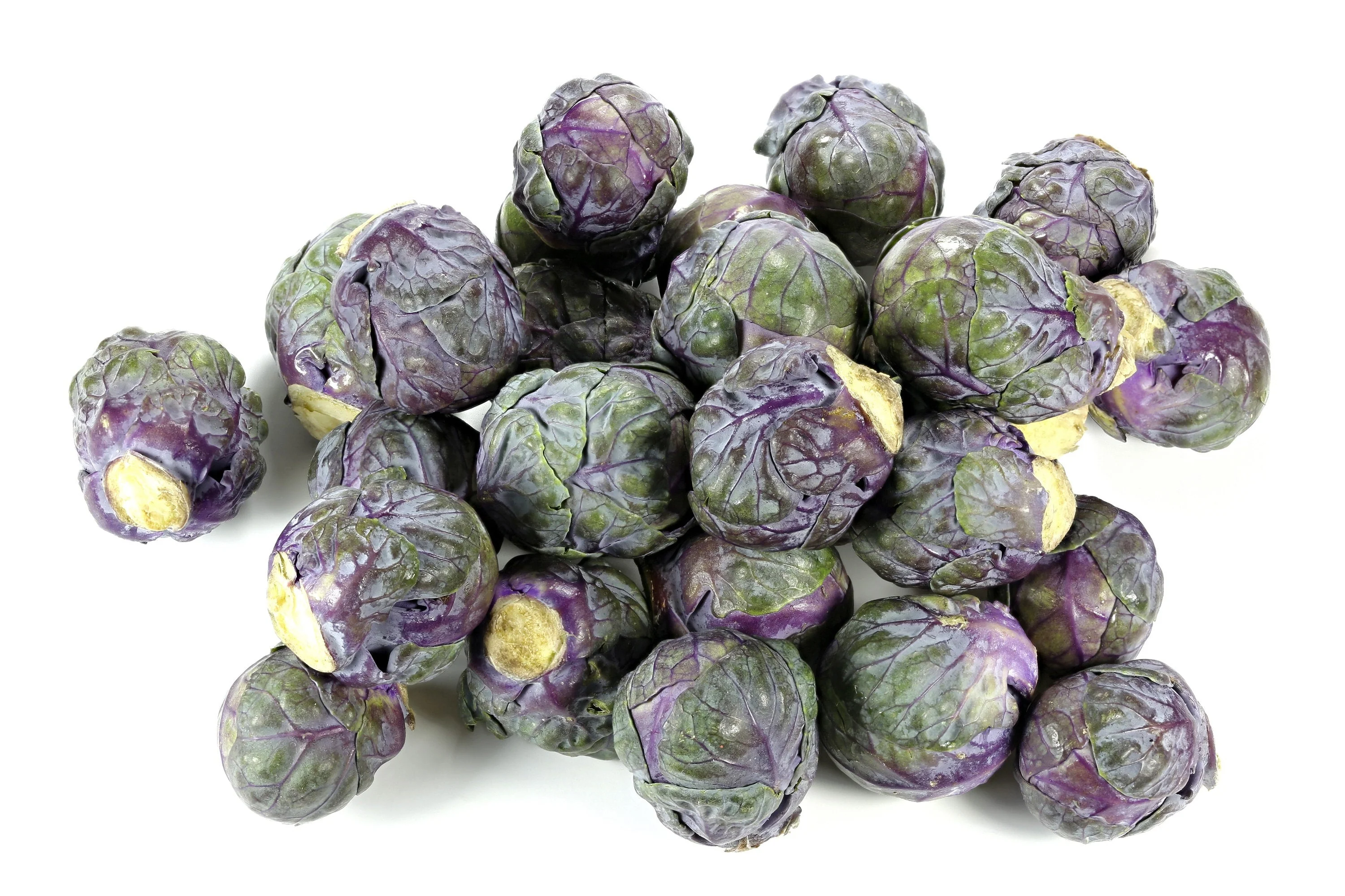 70 RED Ball BRUSSEL SPROUT Brussels Sprouts Brassica Oleracea Gemmifera Vegetable Seeds - Image 8