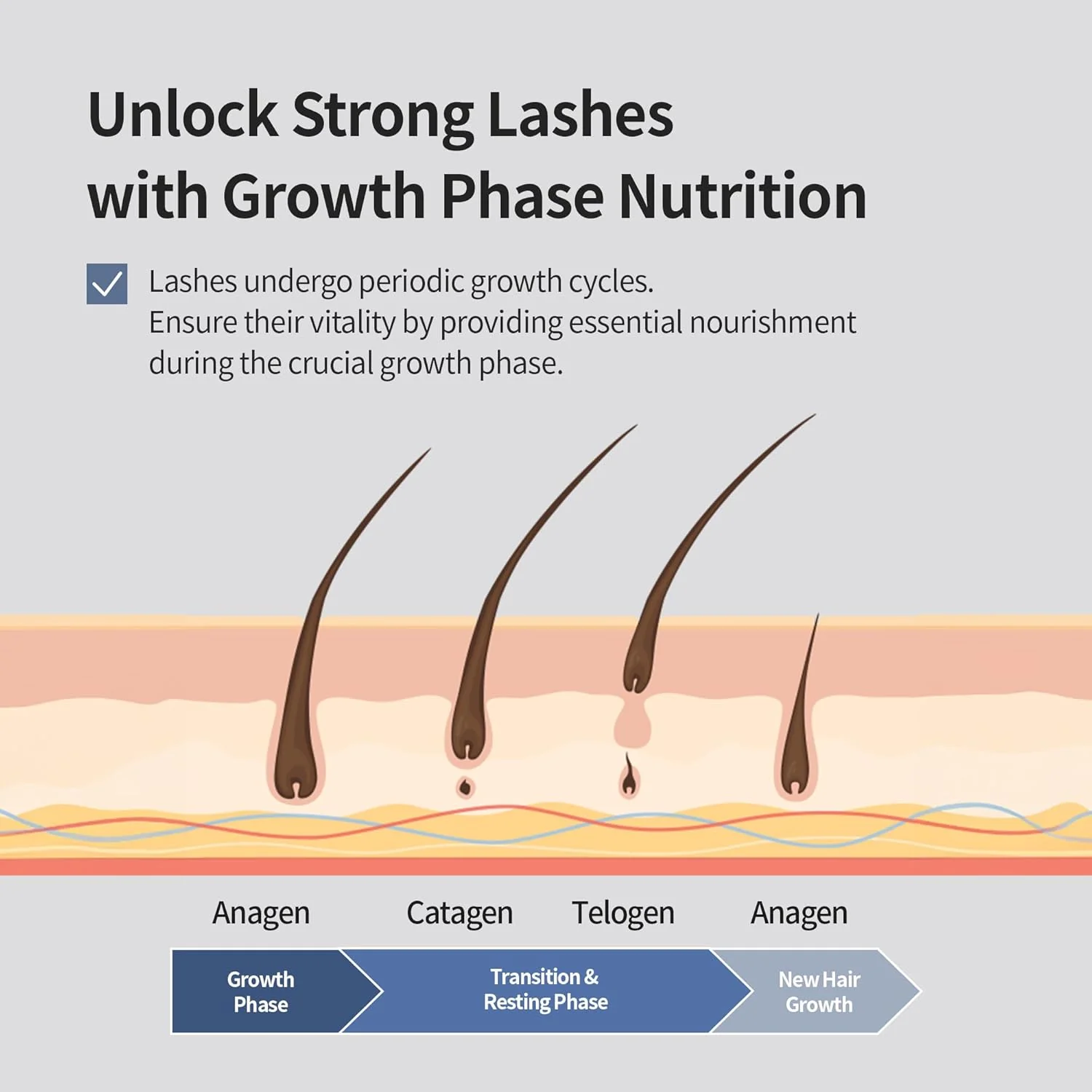 Benton Honest Eyelash Serum - Image 5