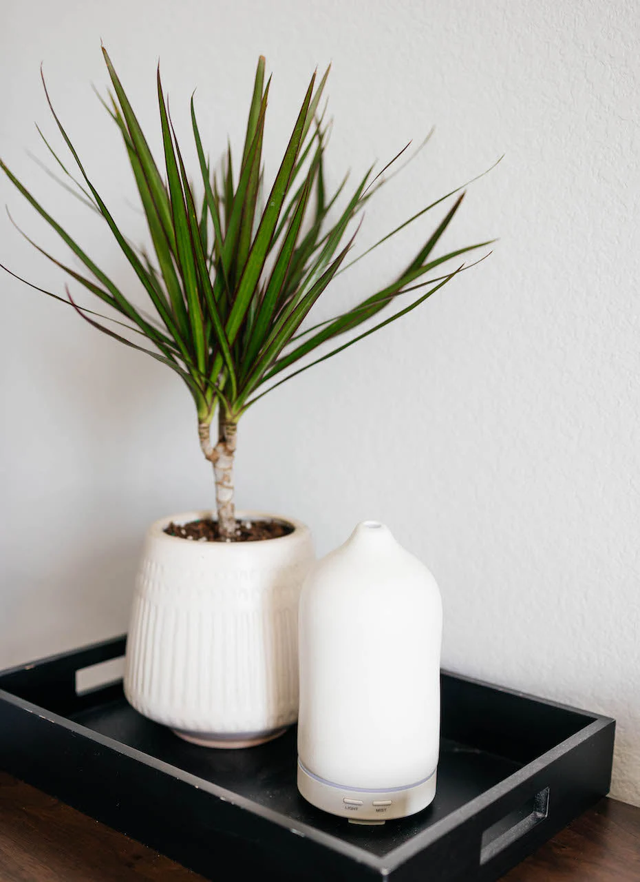 Ceramic Diffuser - Image 5