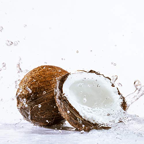 [Chaokoh] Coconut Gel in Syrup Net Wt. 500g. From Thailand - Image 2