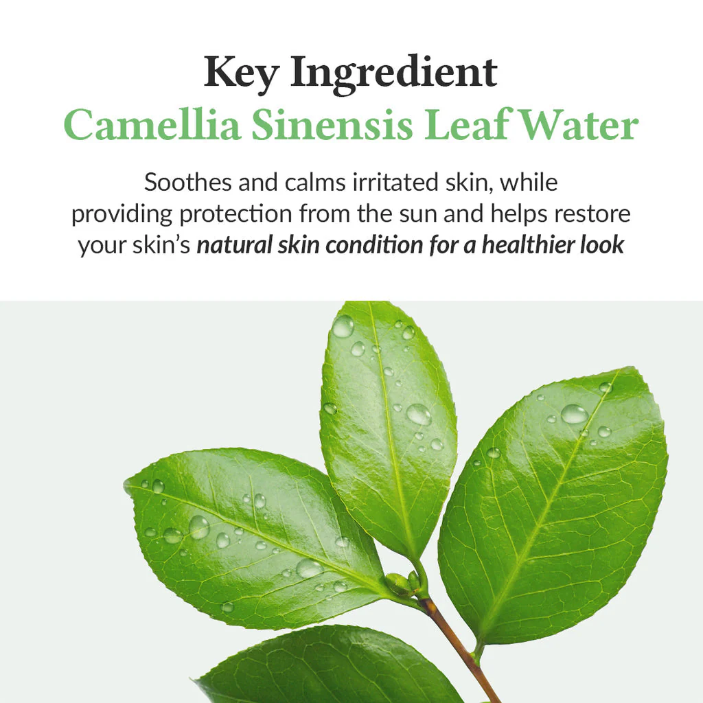 Dr. Althea Green Tea Fresh Sunscreen SPF50+ PA++++ - Image 4